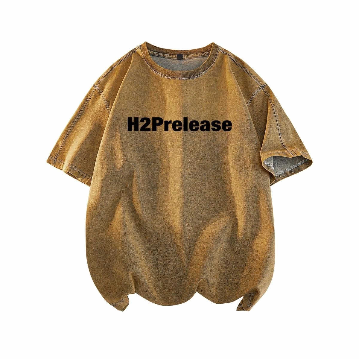 H2P logoT