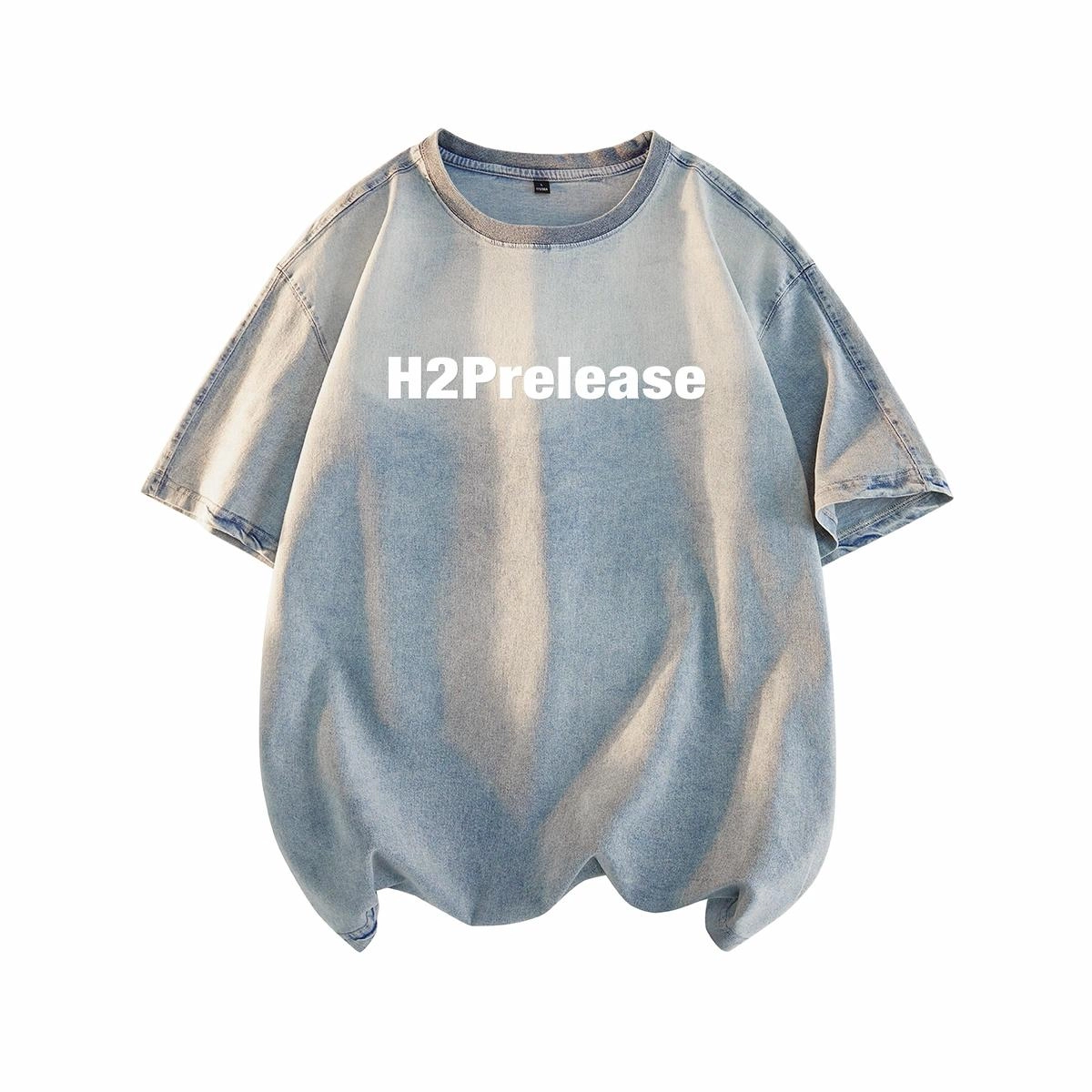 H2P logoT