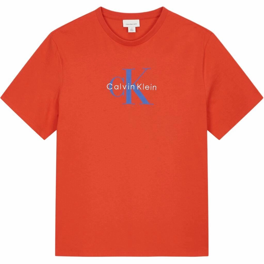 CALVIN KLEIN LogoT