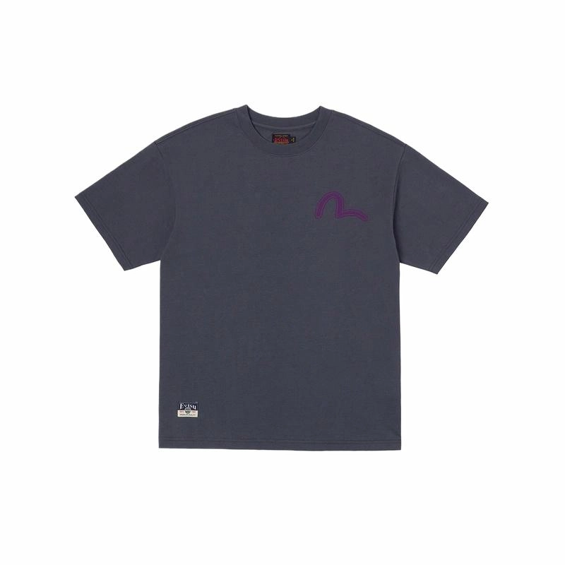 EVISU 2025 T