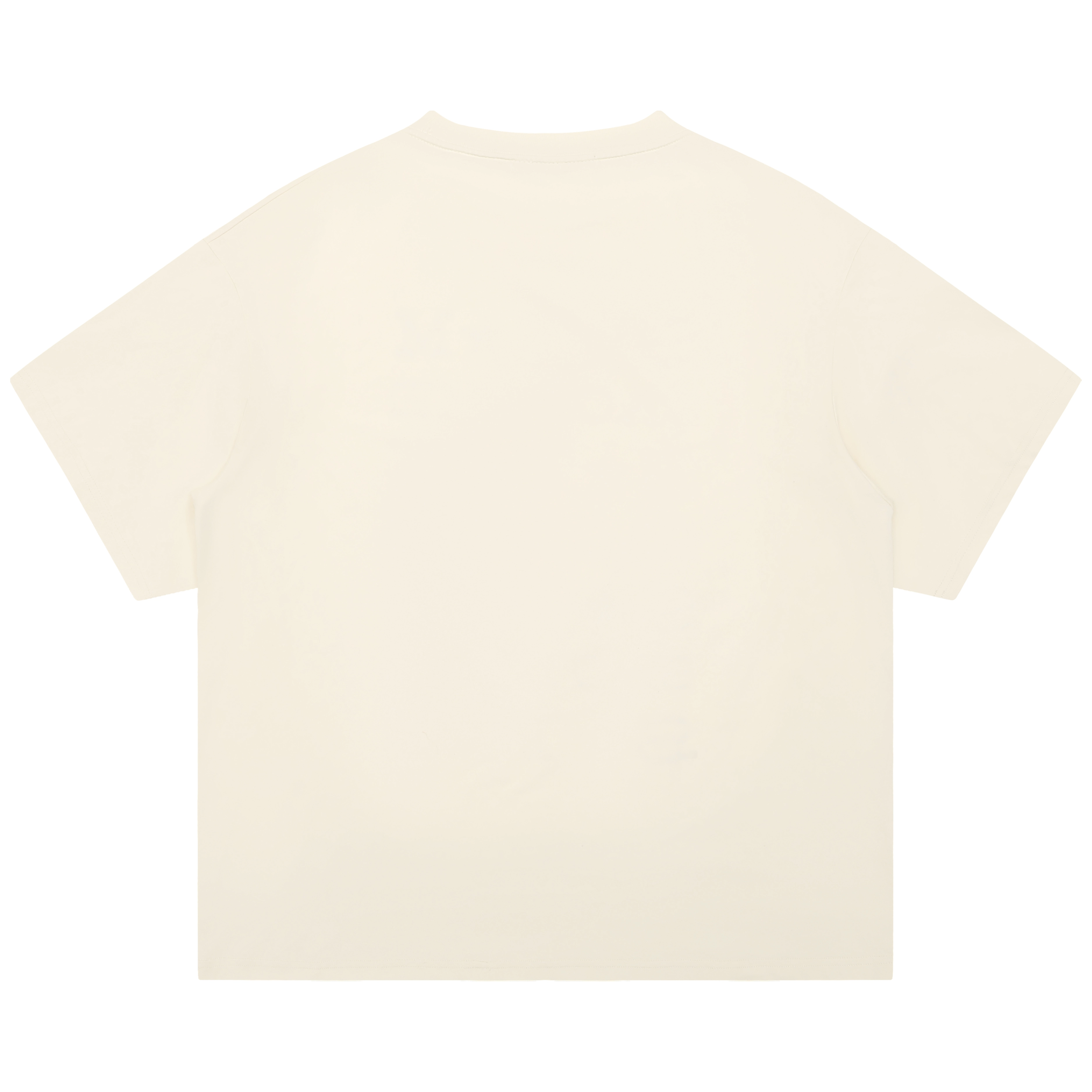 Saotome T