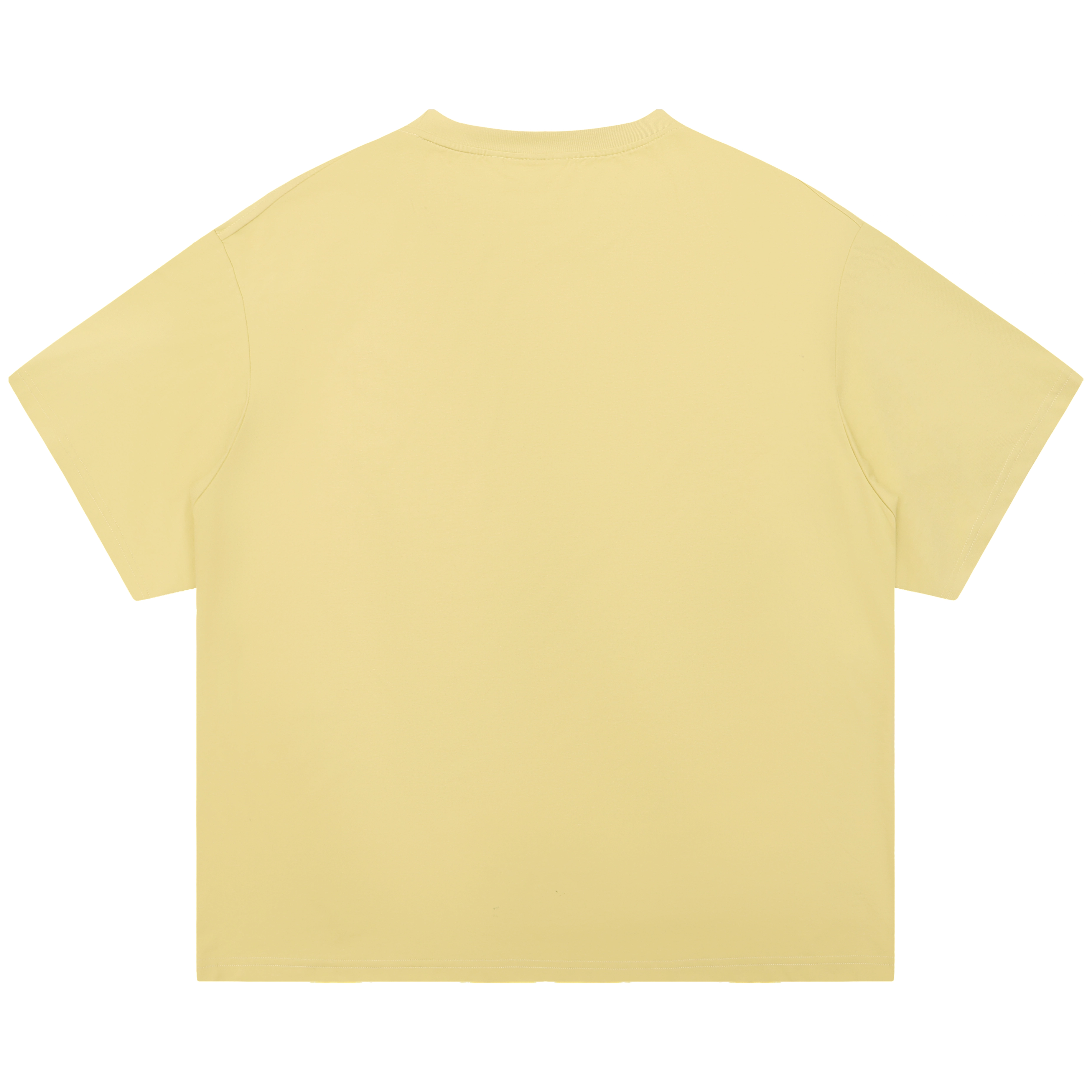 Saotome T