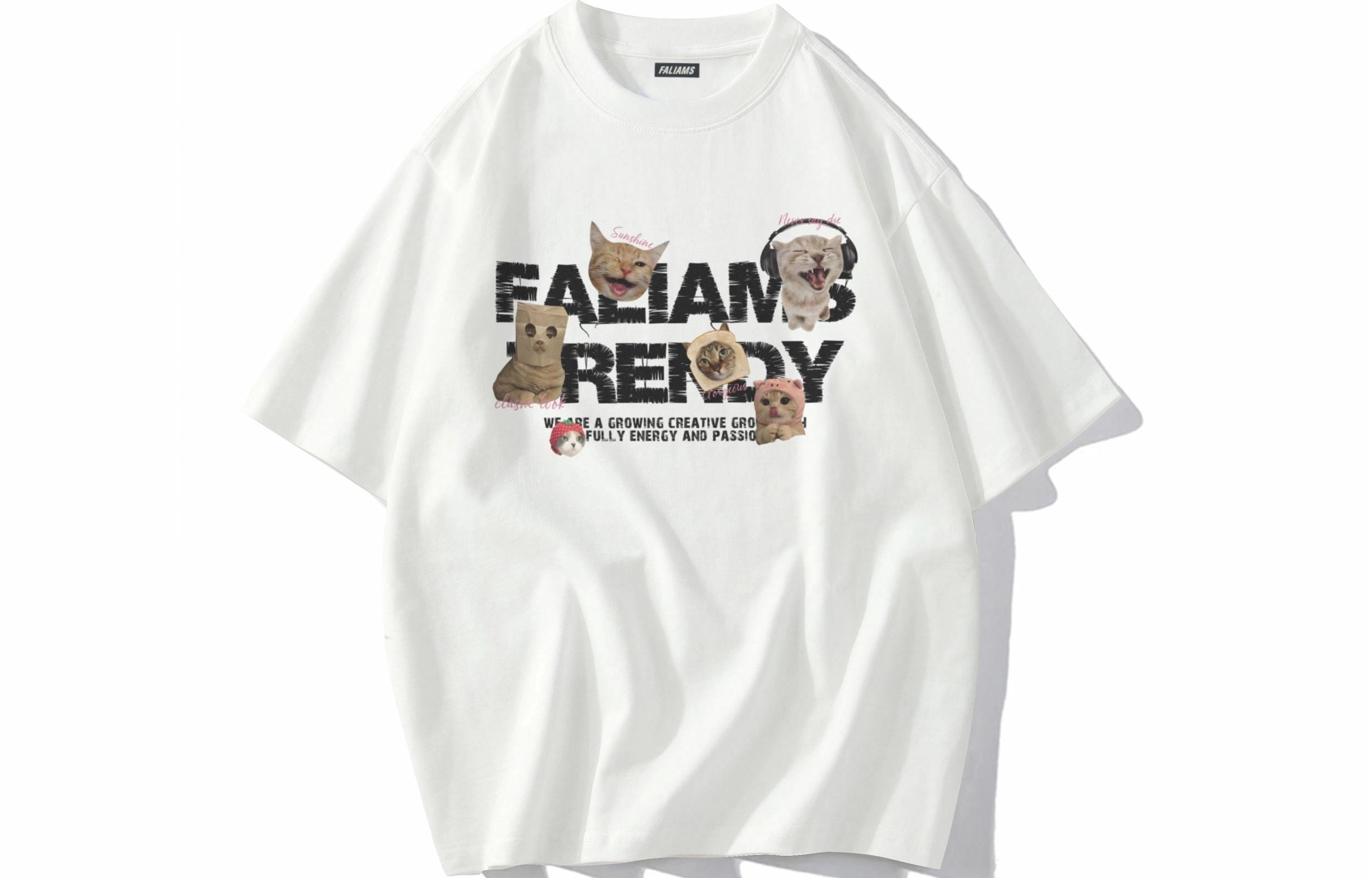 FALIAMS T