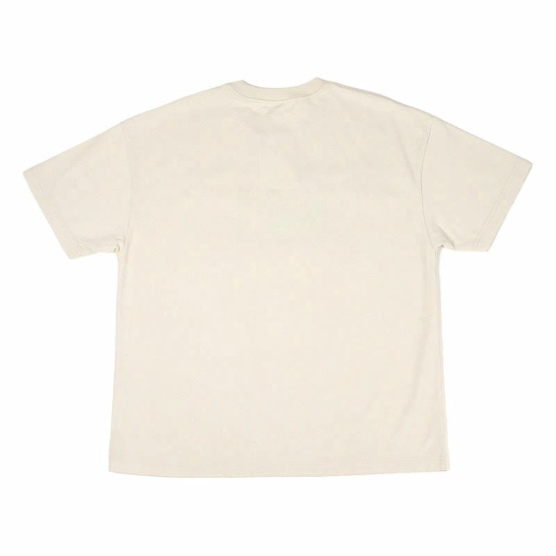 Revenge T