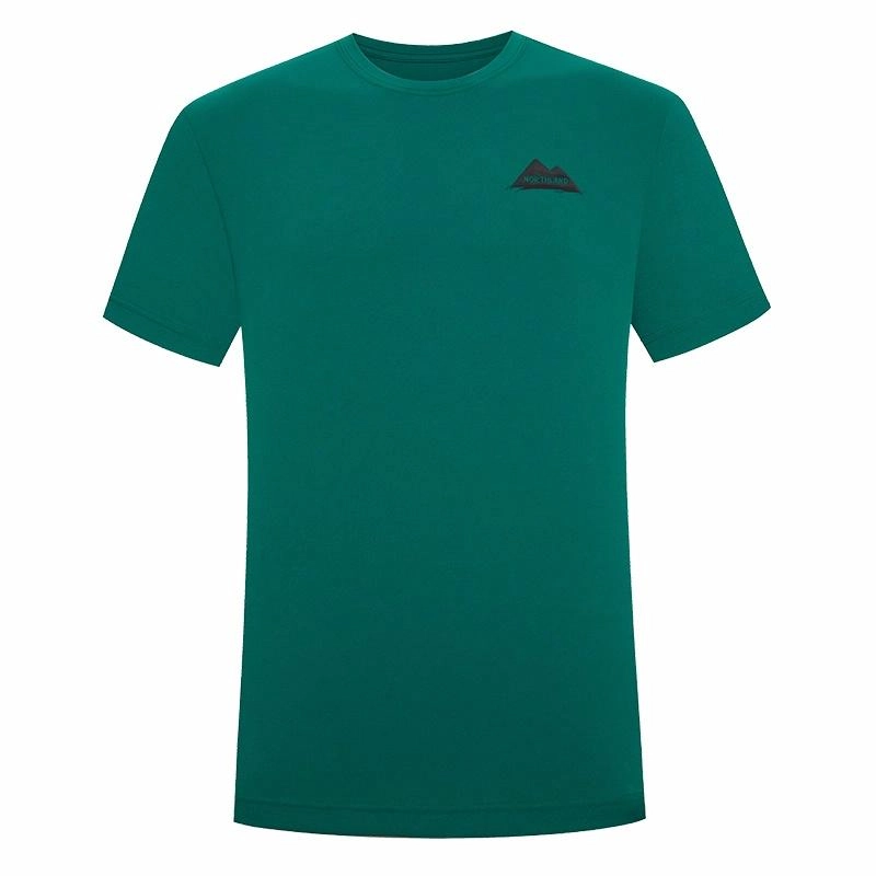 NORTHLAND PROFESSIONAL T