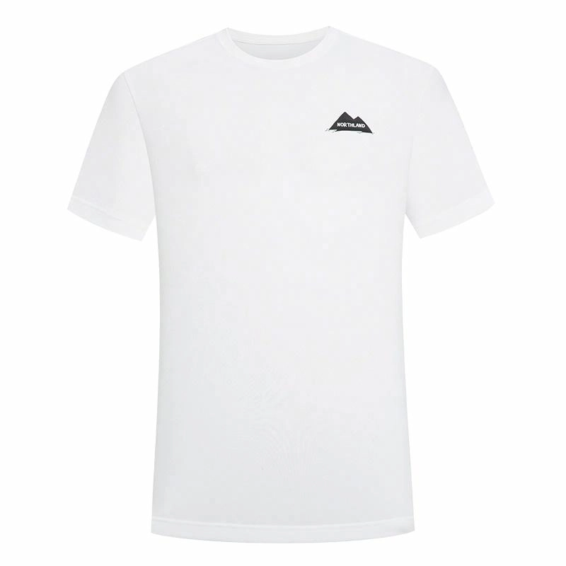 NORTHLAND PROFESSIONAL T