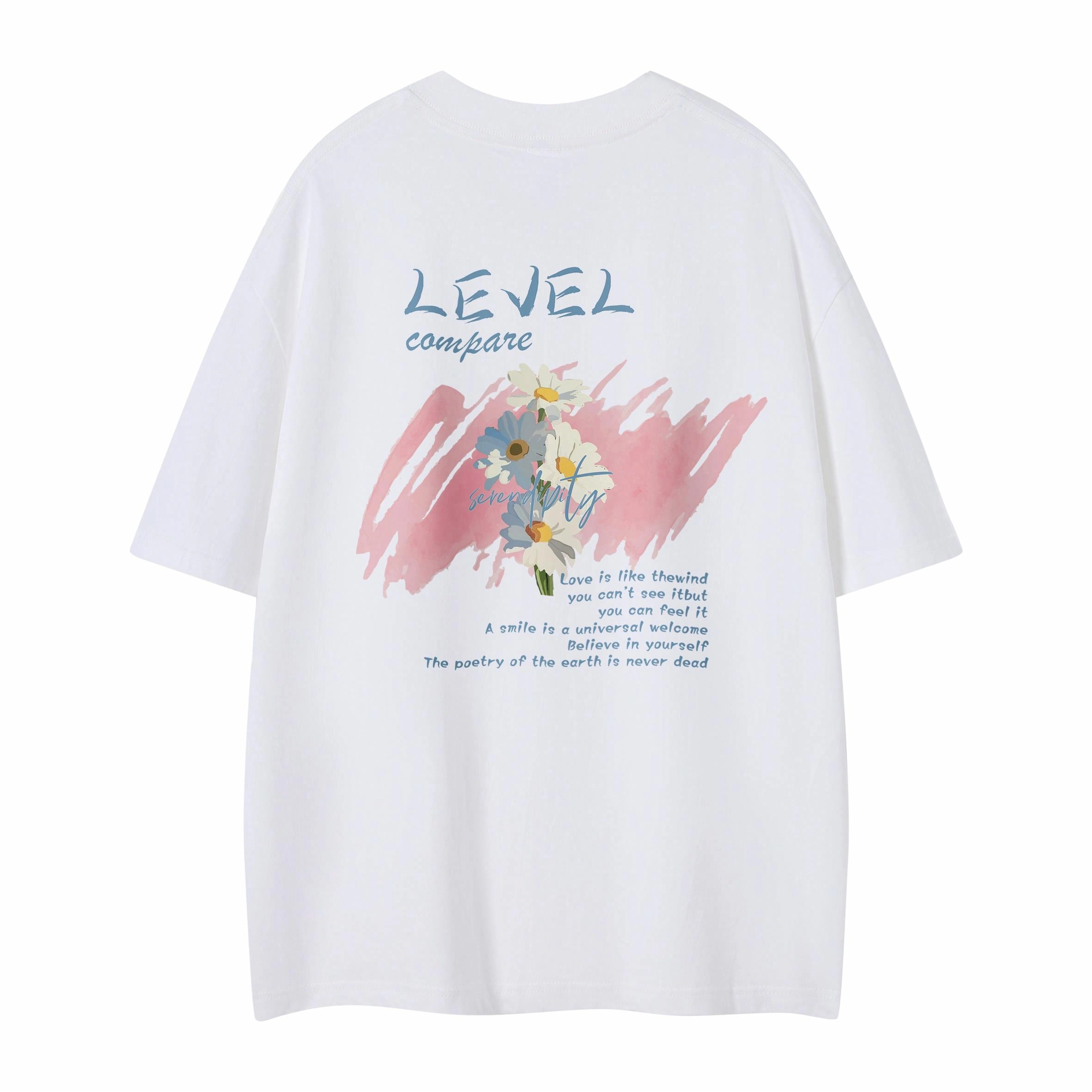 LEVEL T