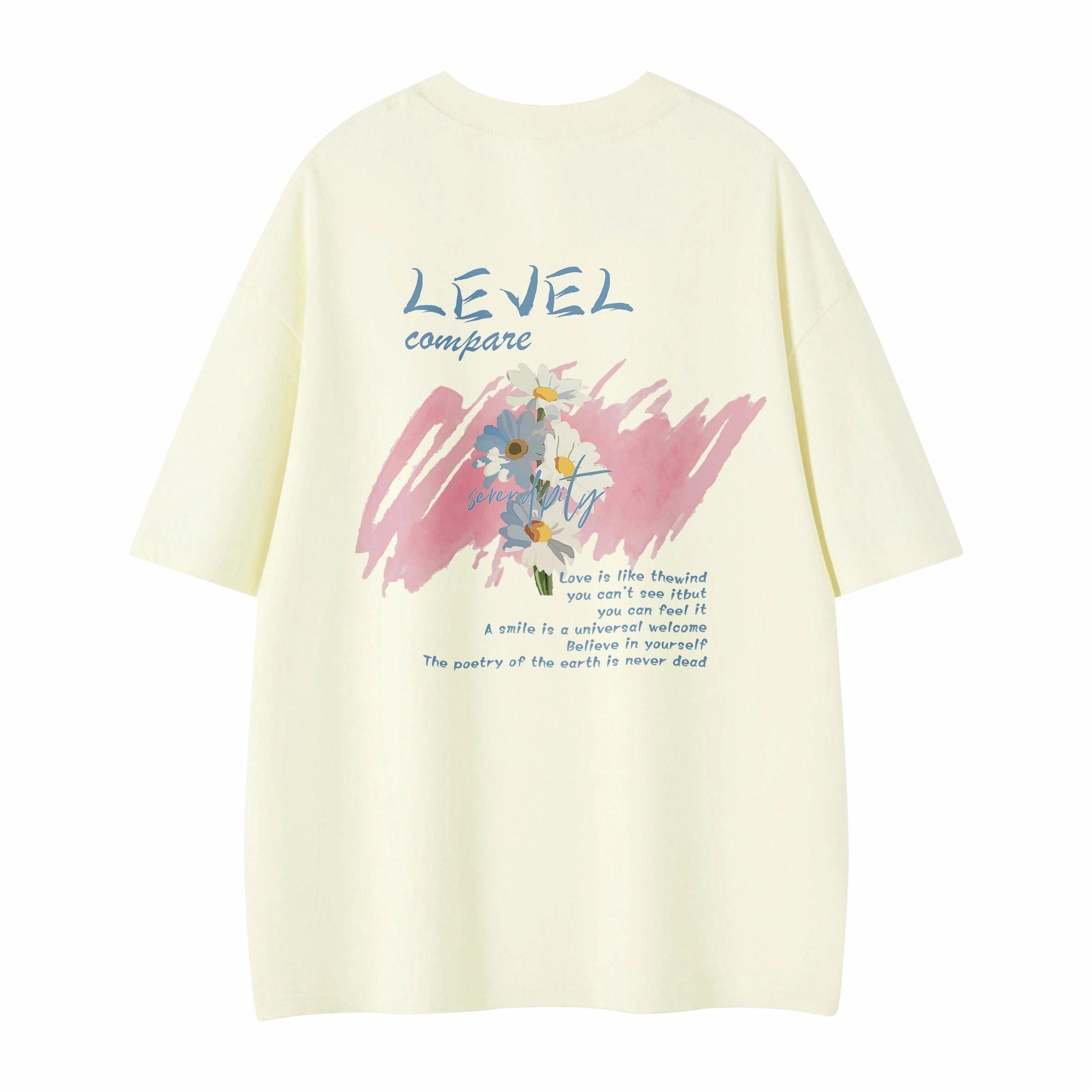 LEVEL T