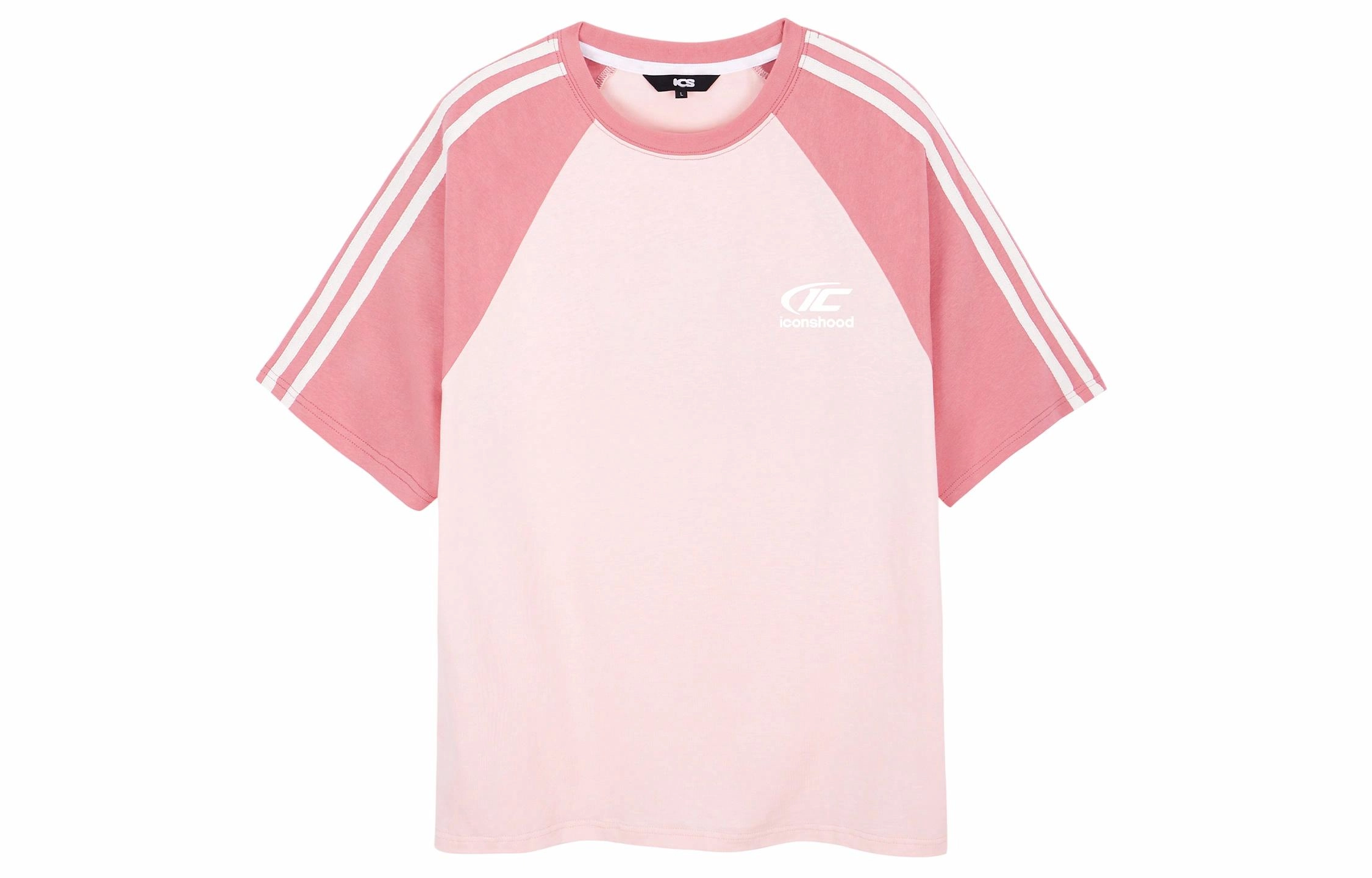 ICONS Lab T
