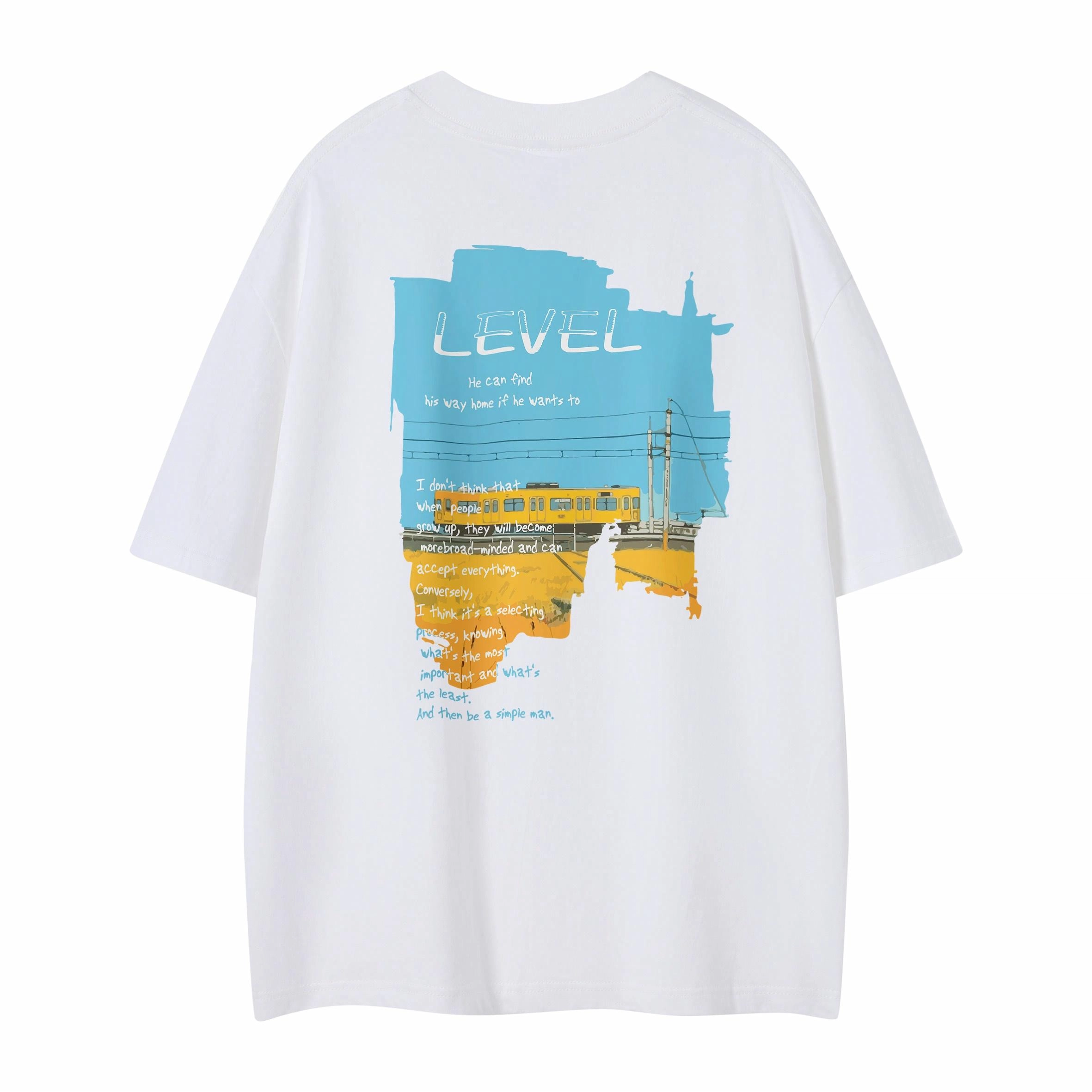 LEVEL T