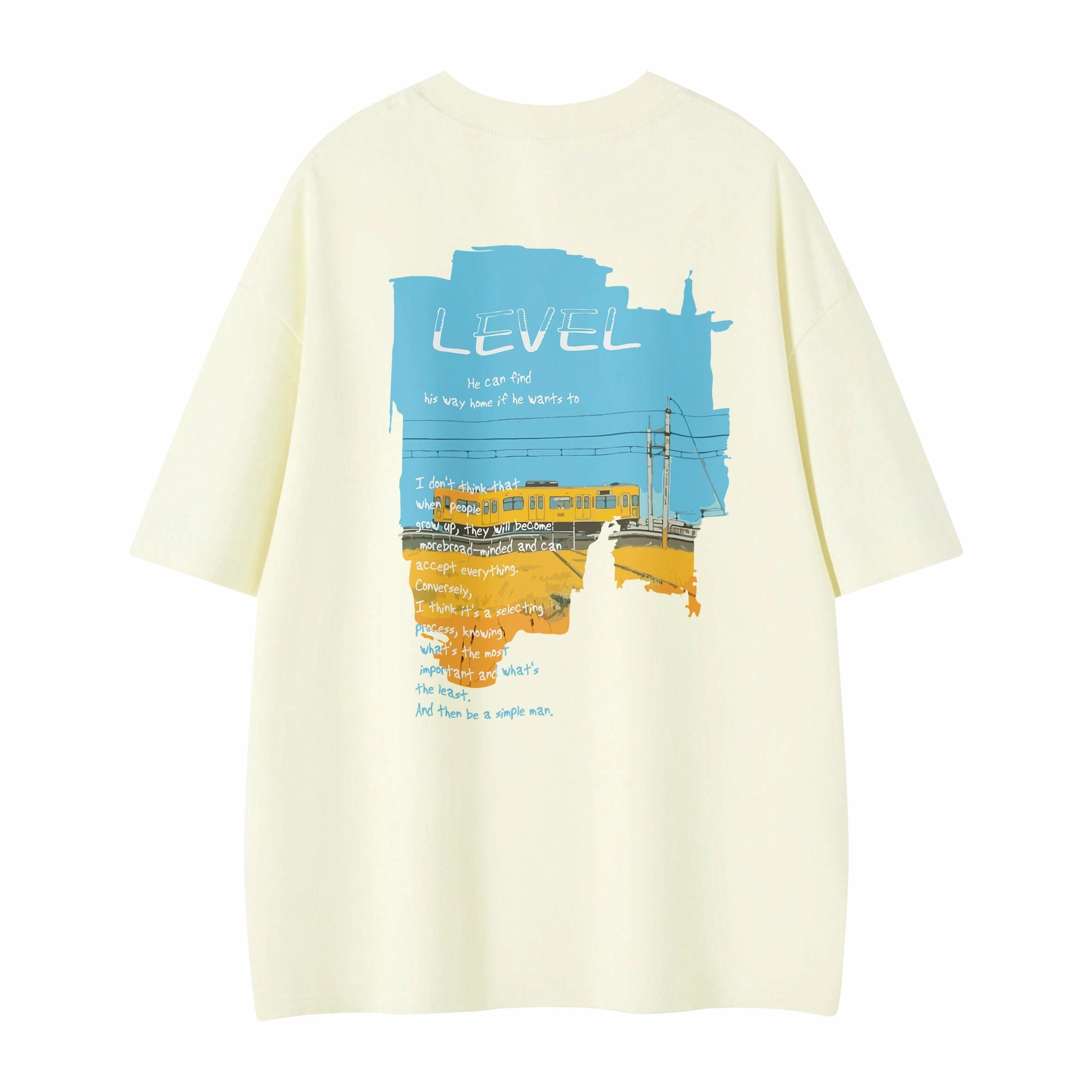 LEVEL T