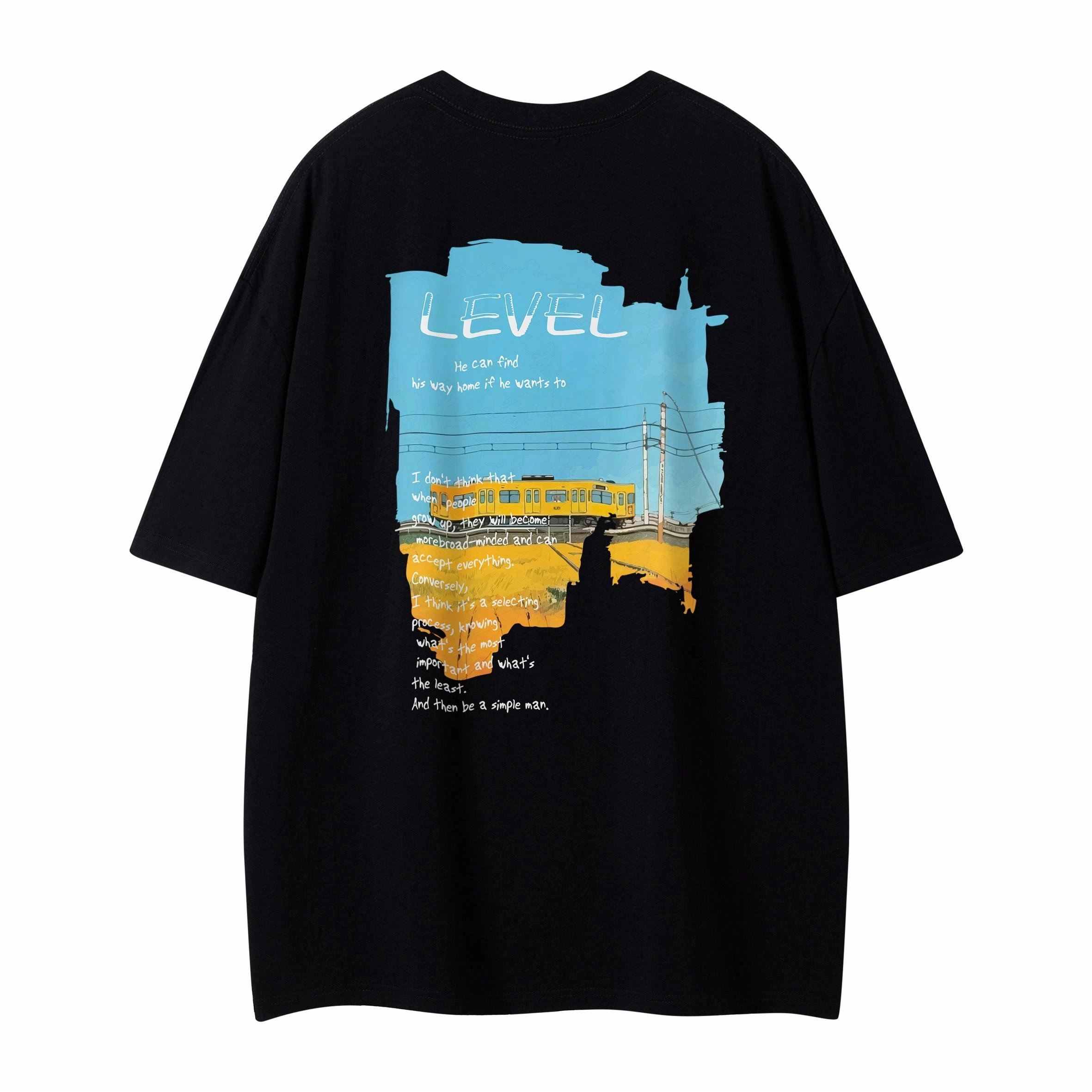 LEVEL T