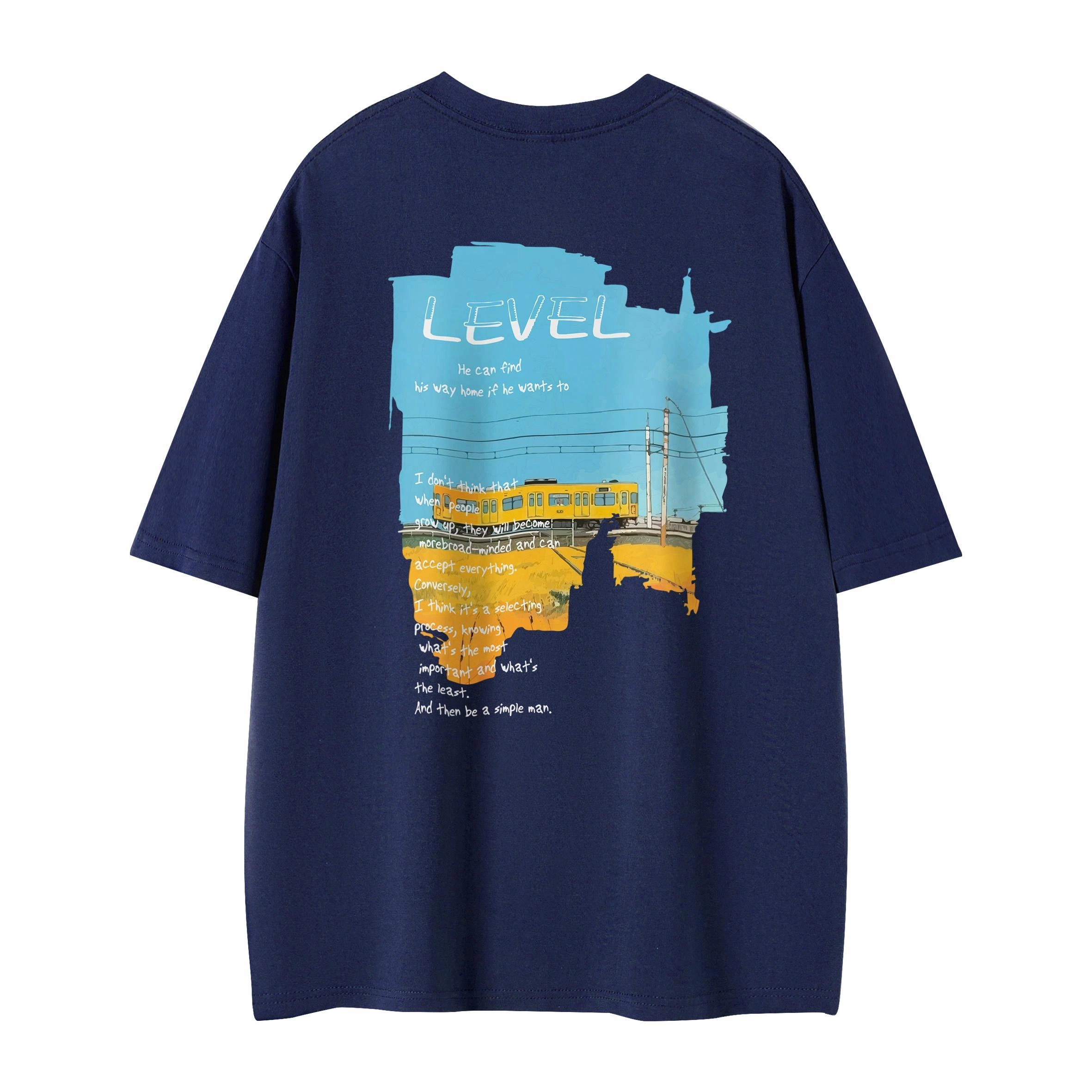 LEVEL T