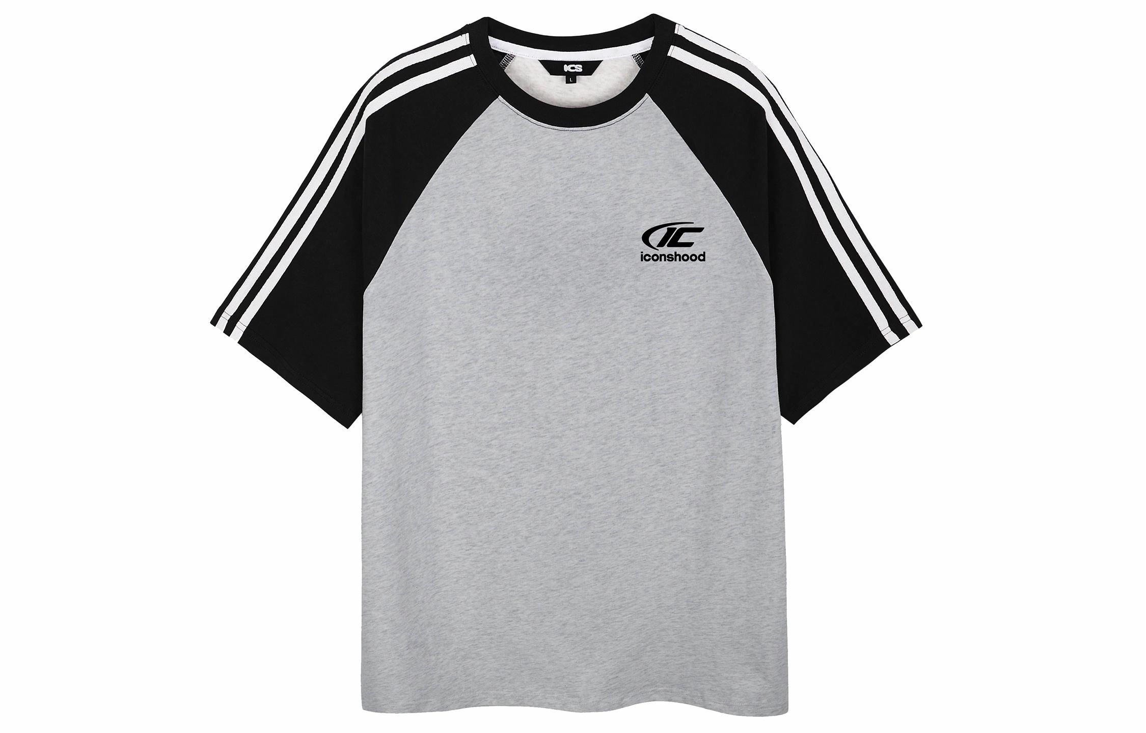 ICONS Lab T