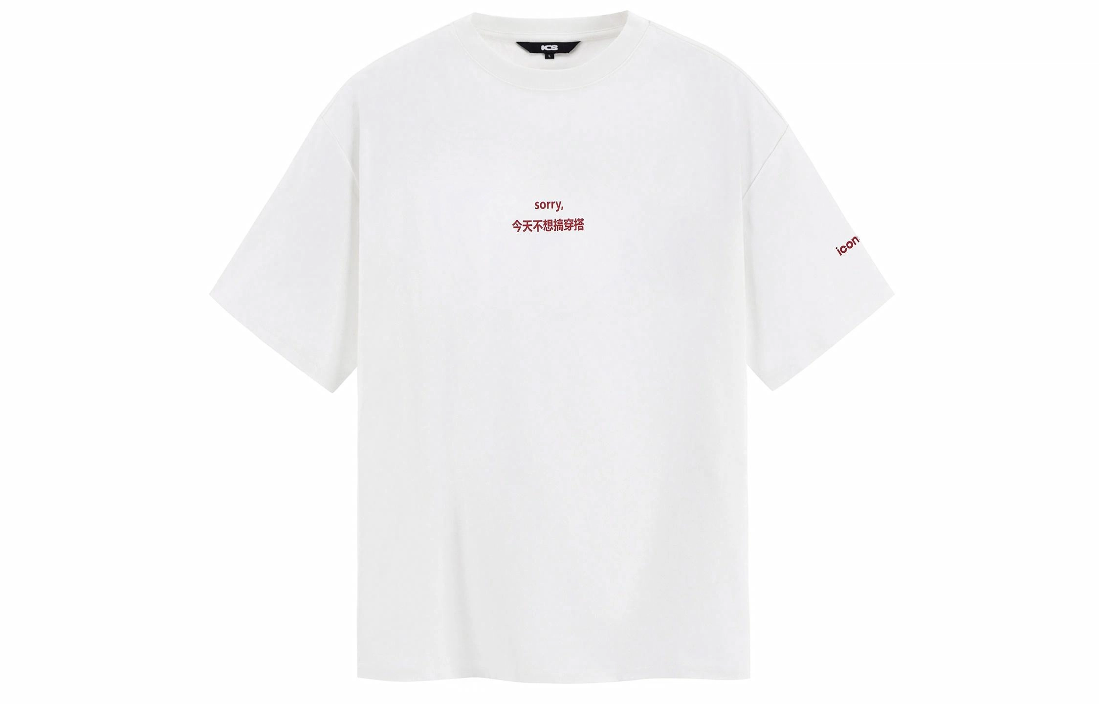 ICONS Lab T
