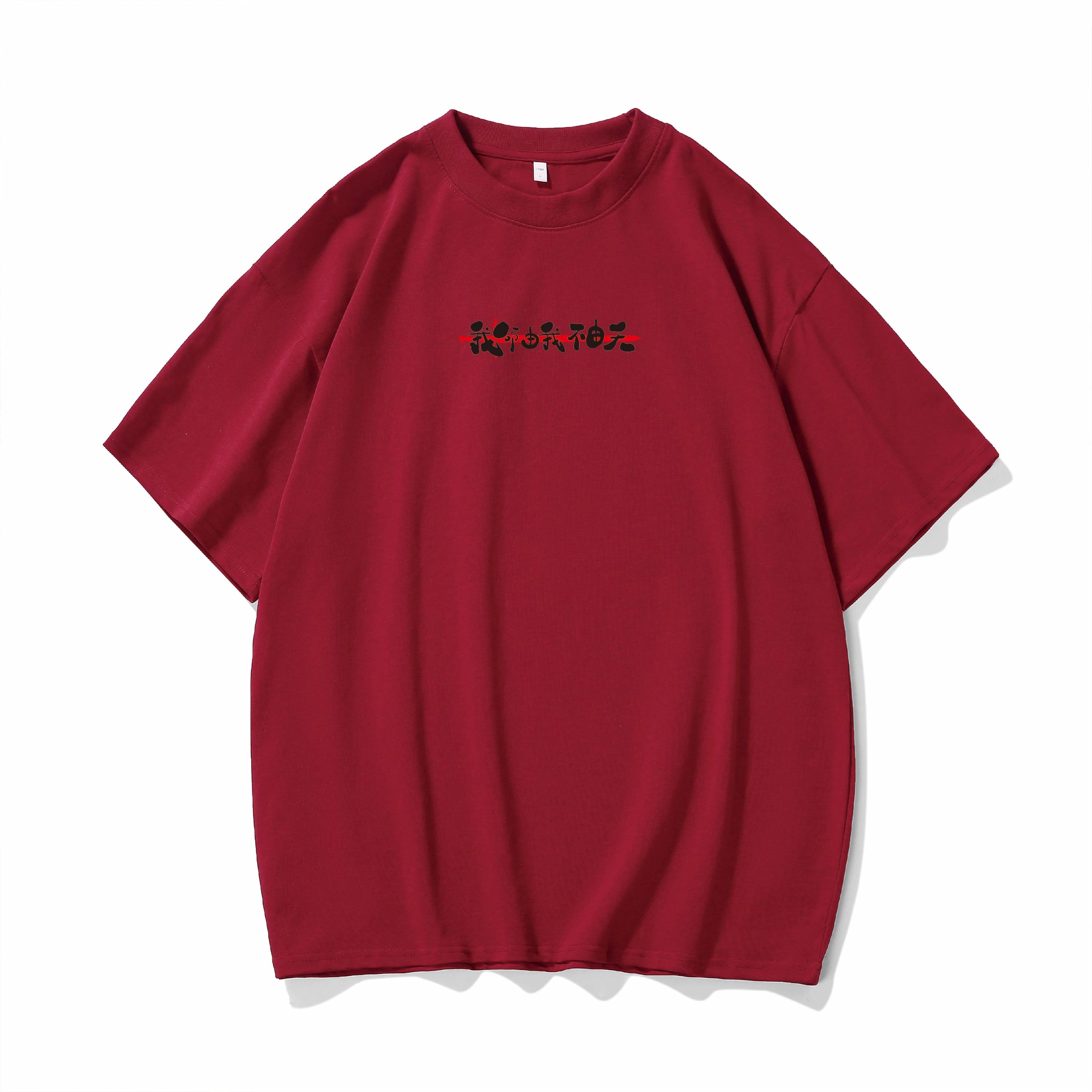 HOKLV T