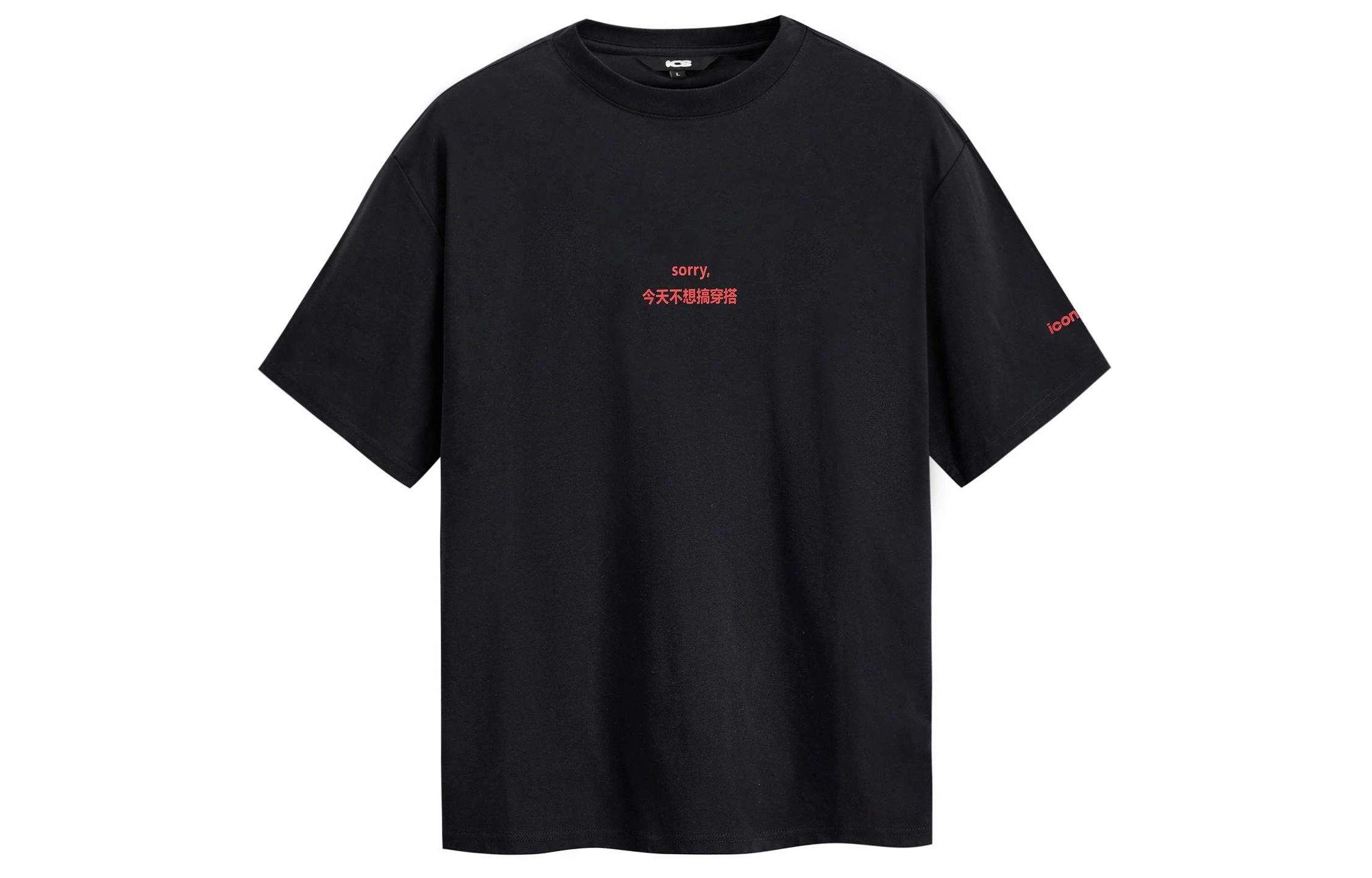 ICONS Lab T