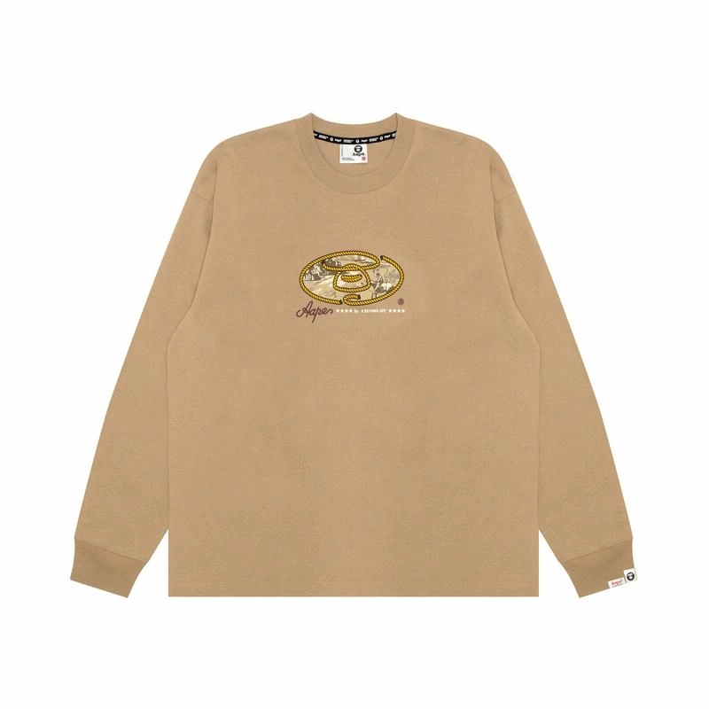 Aape T