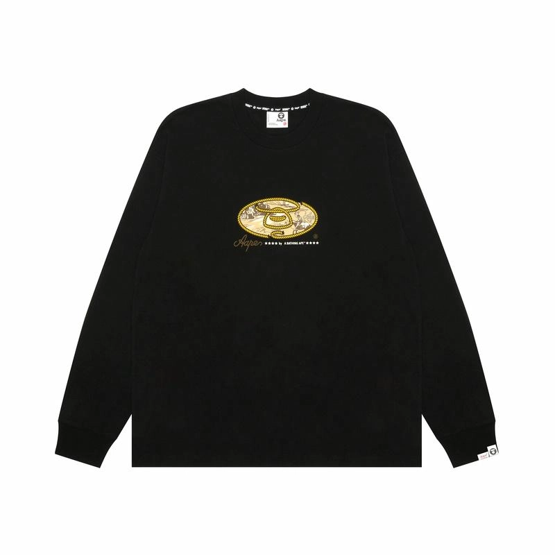 Aape T