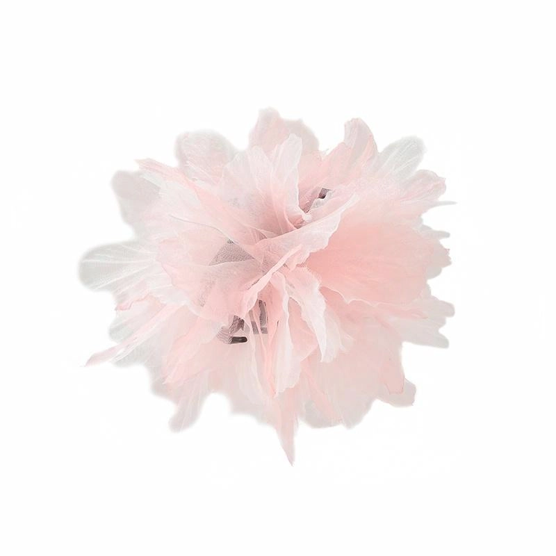 Princess Ballet