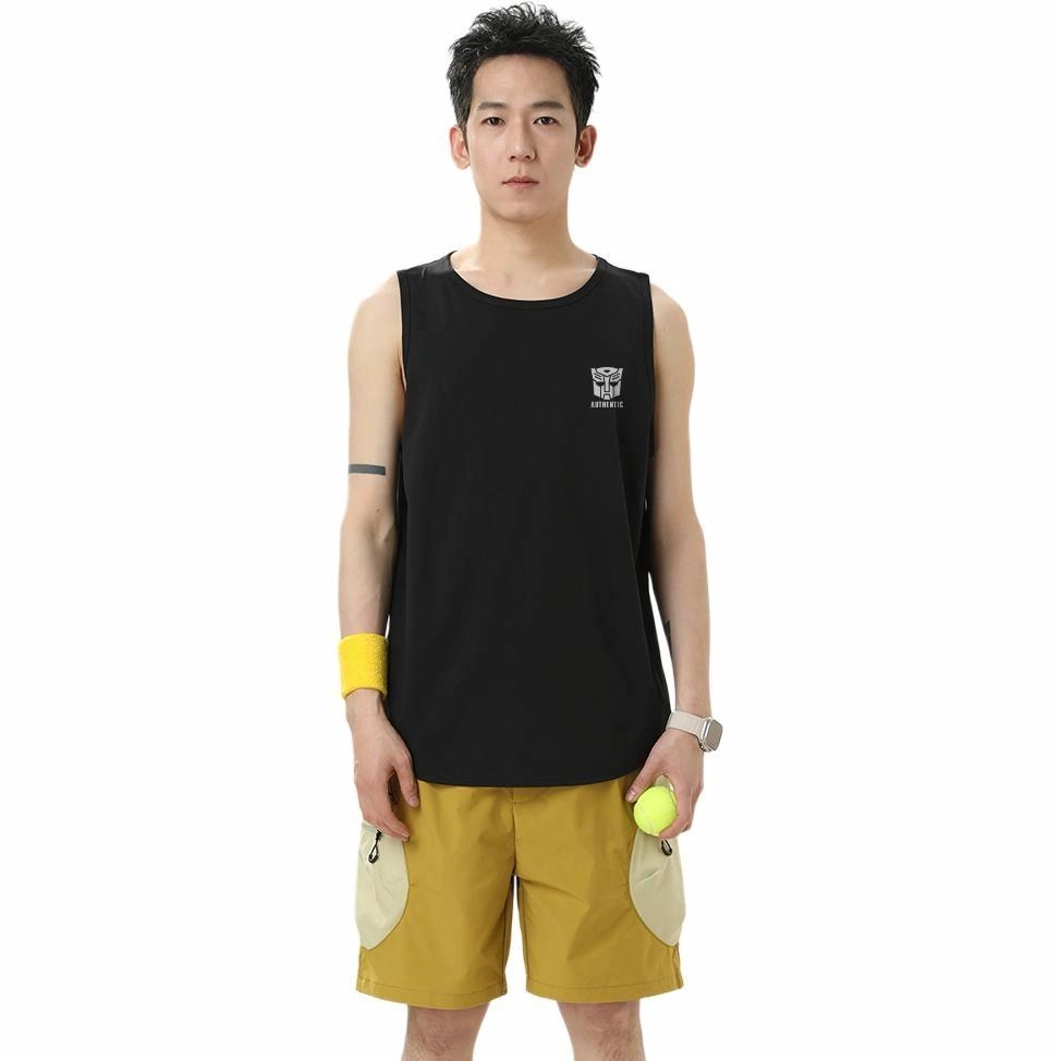 TRANSFORMERS t