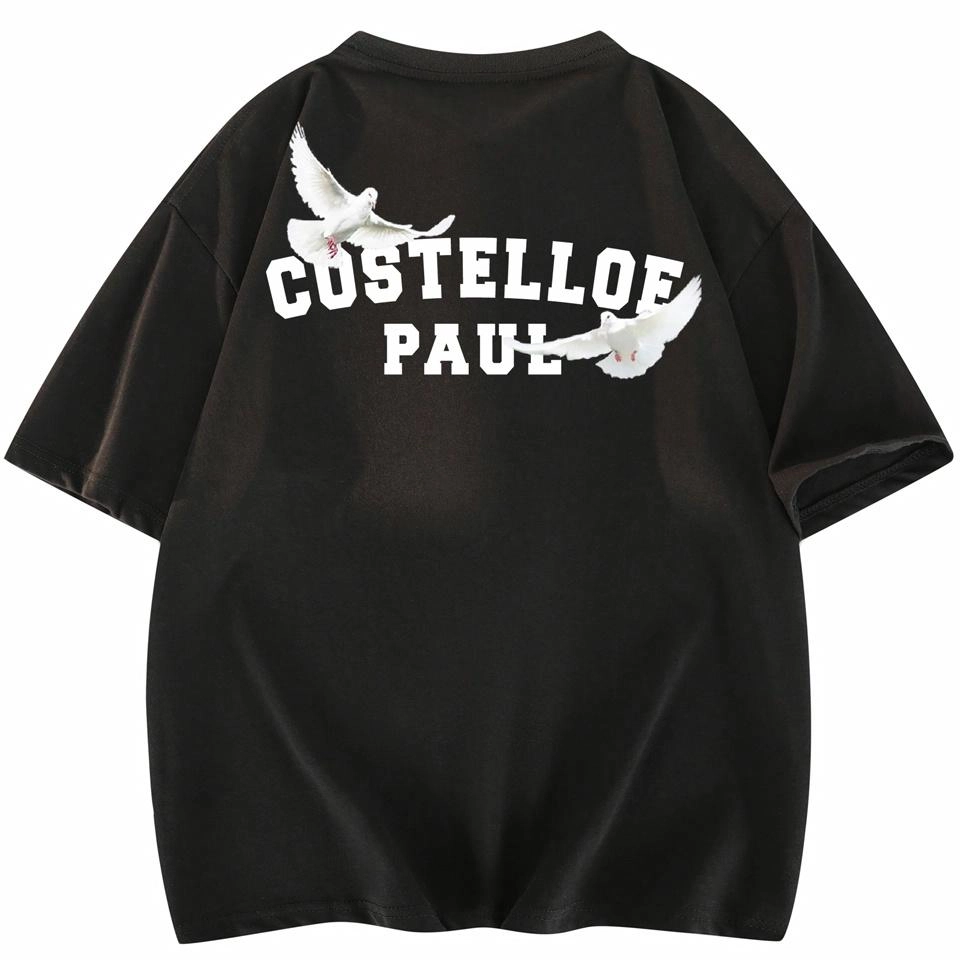 PAUL COSTELLOE logoT