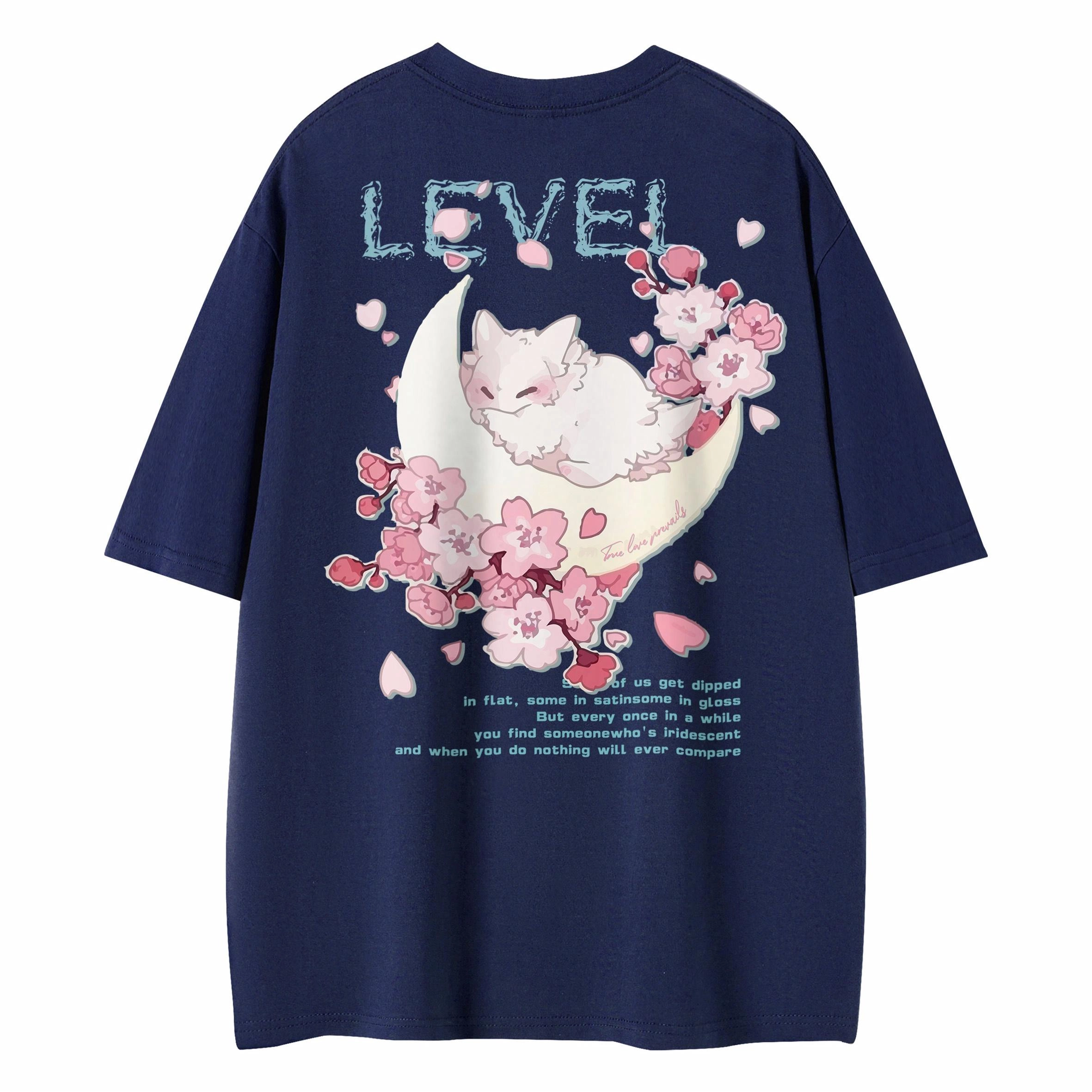 LEVEL T