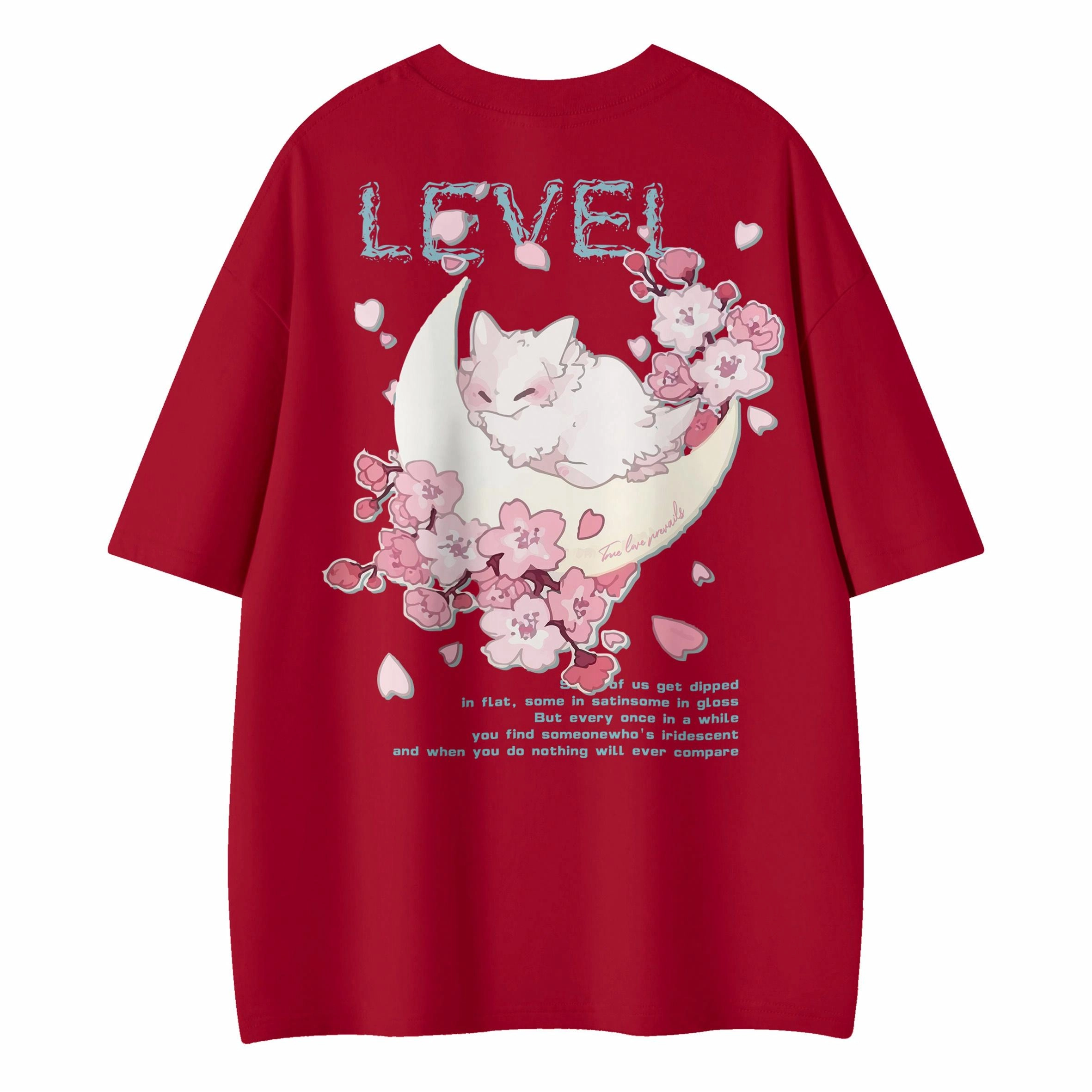 LEVEL T