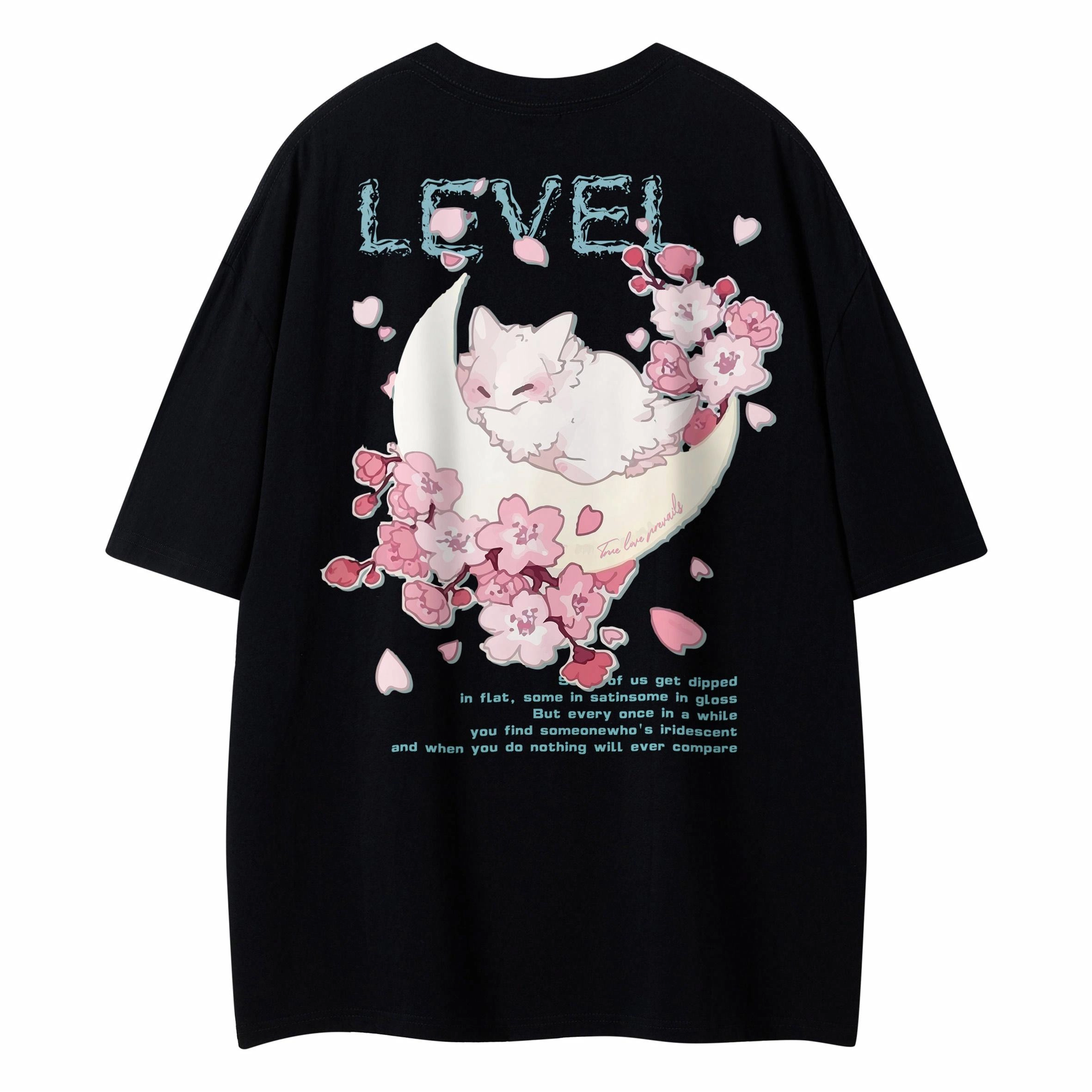 LEVEL T