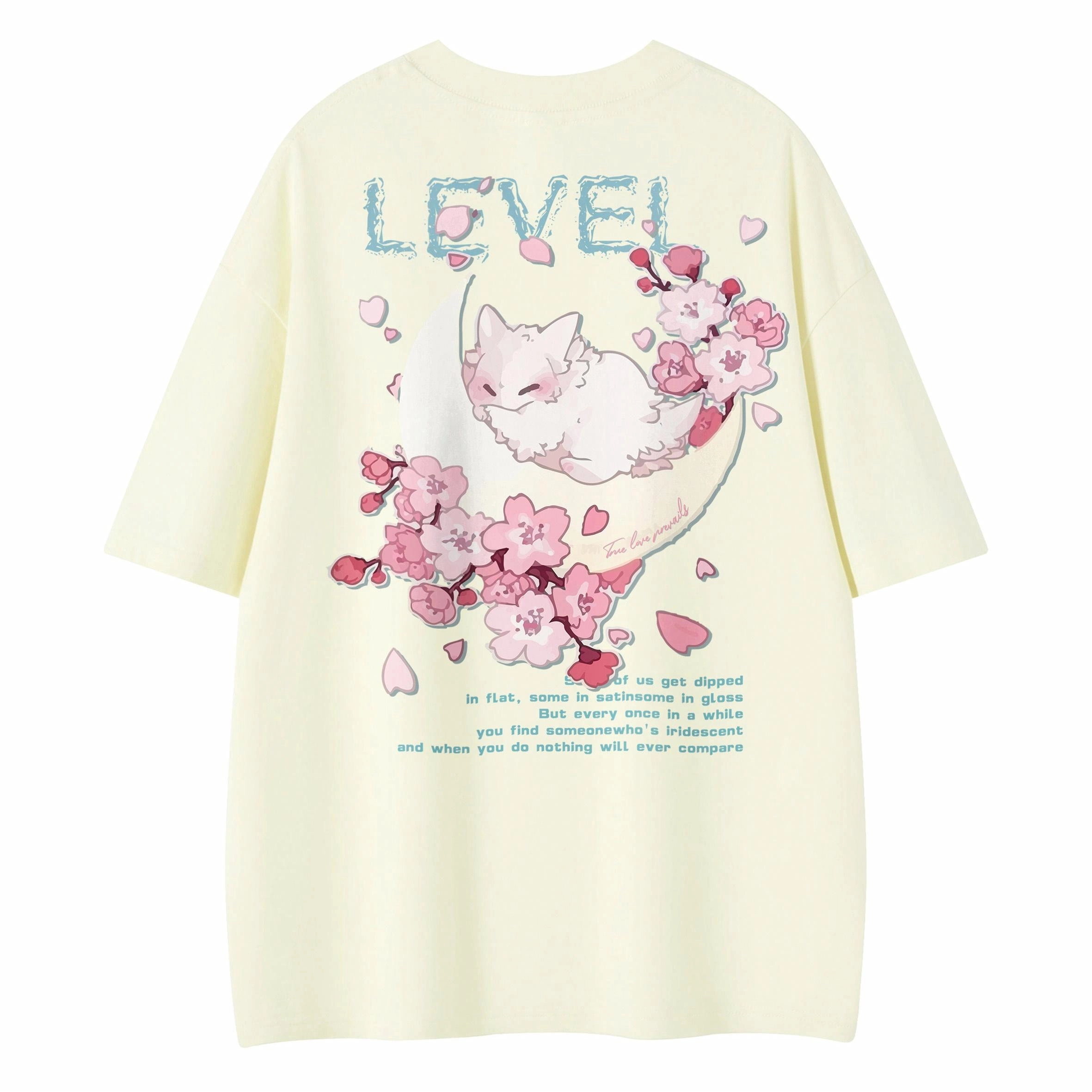 LEVEL T