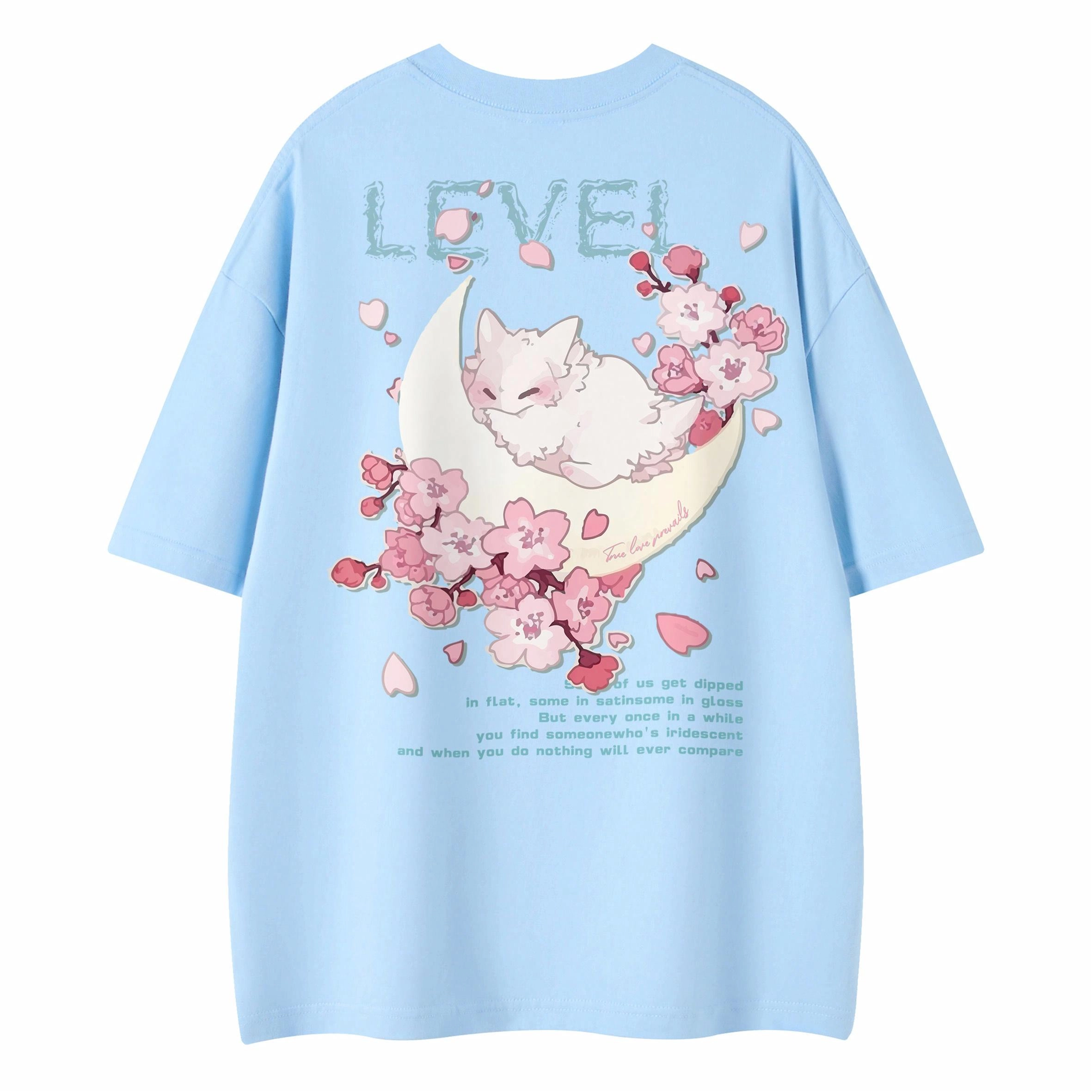 LEVEL T