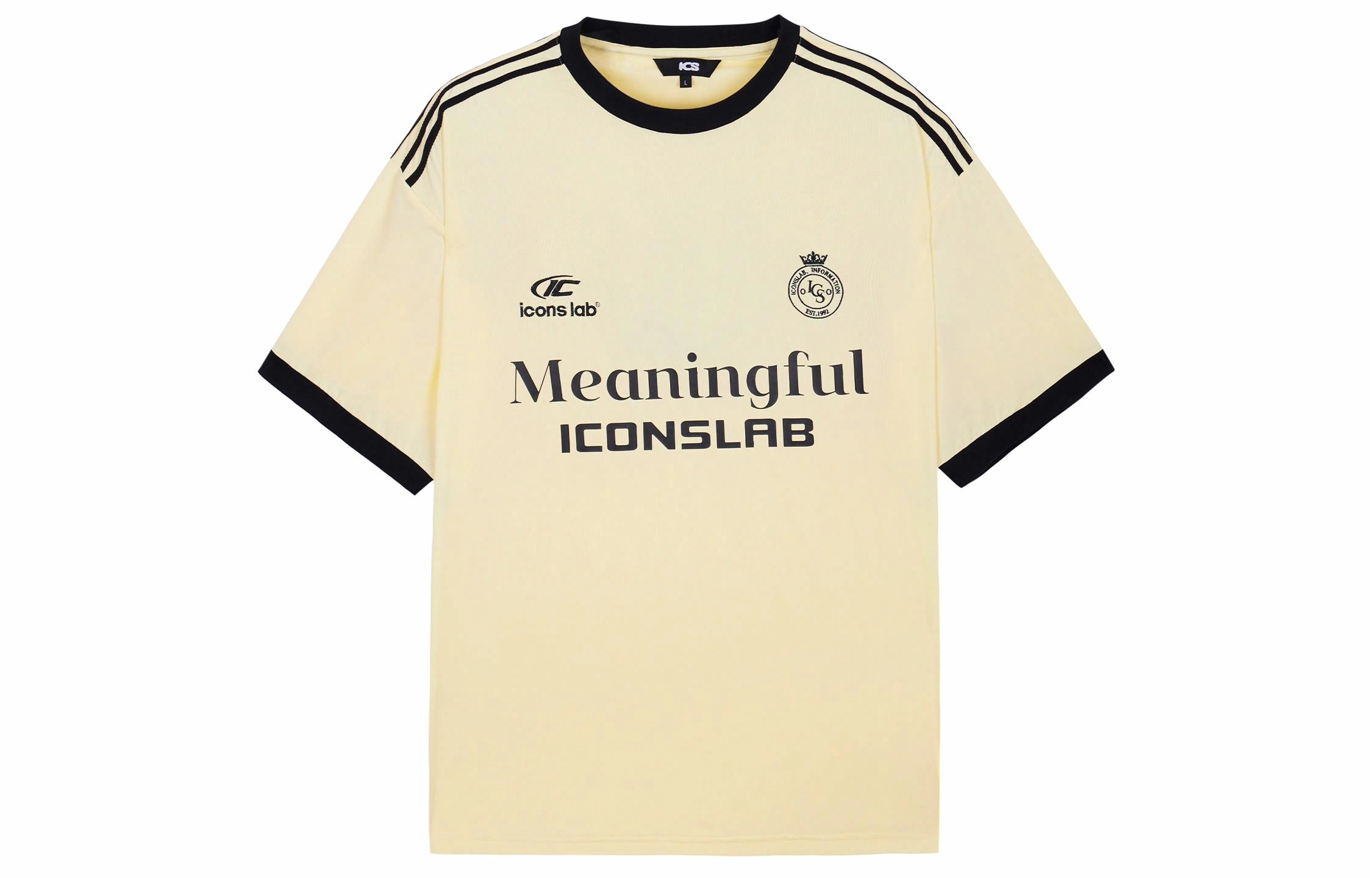 ICONS Lab T