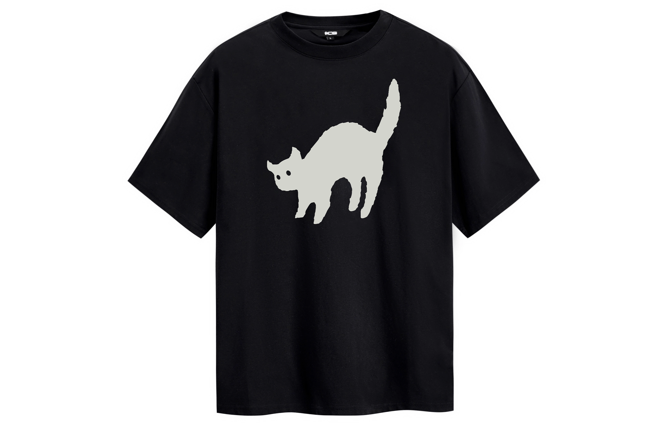 ICONS Lab T