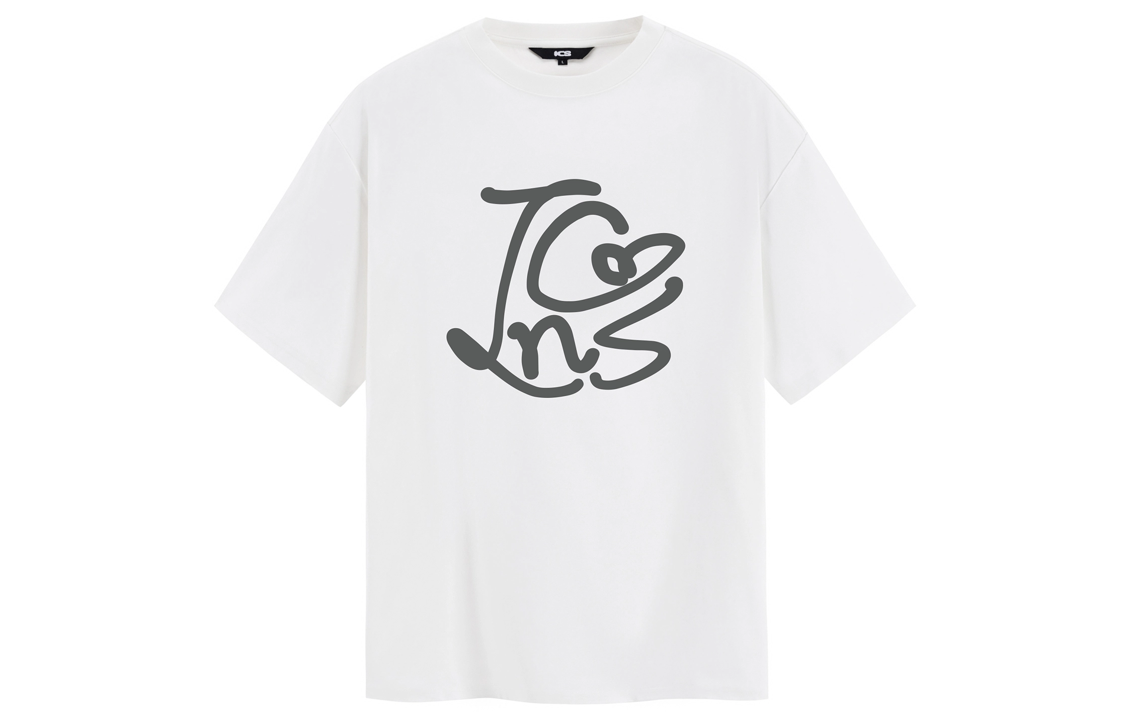 ICONS Lab T