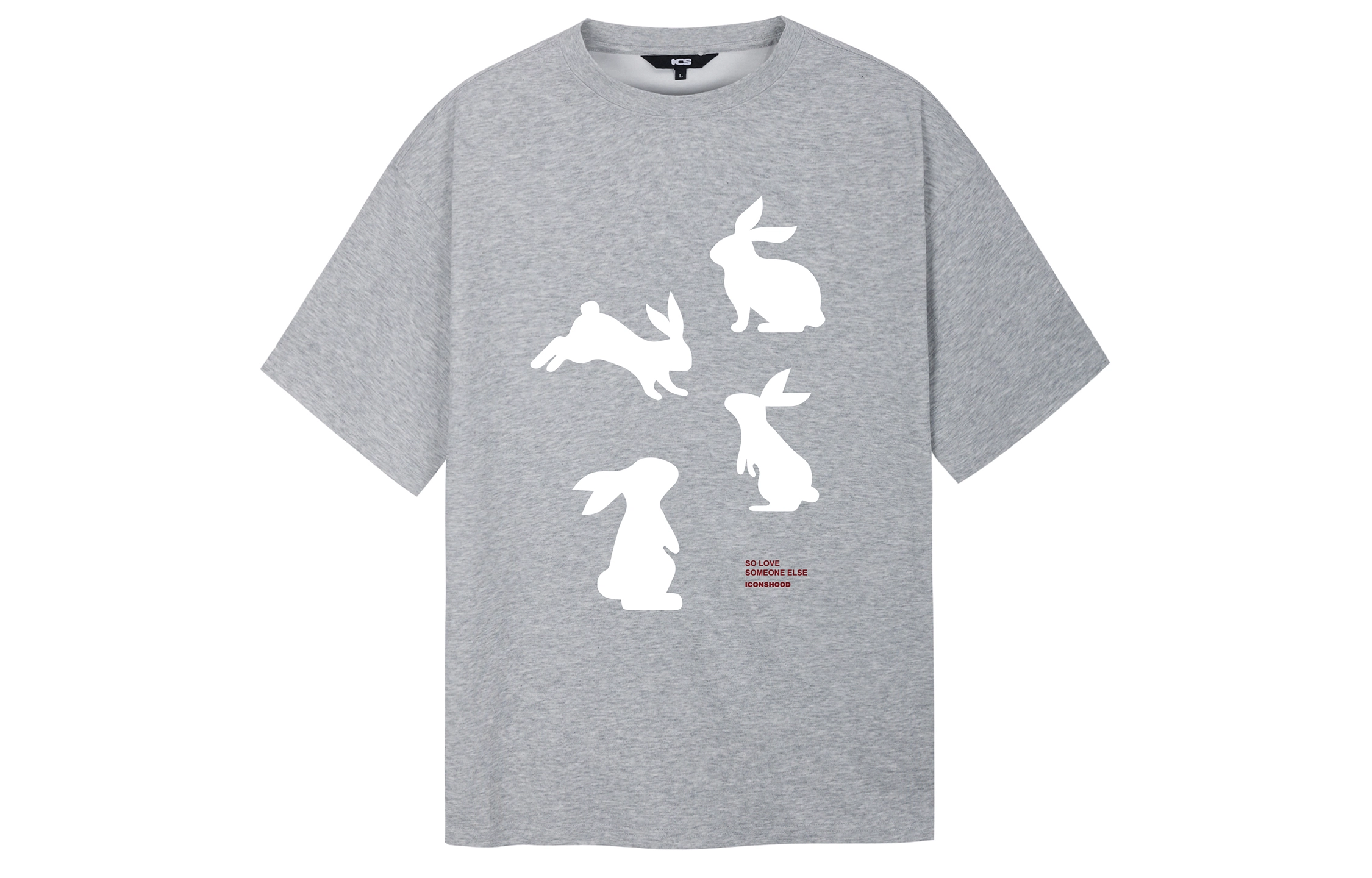ICONS Lab T