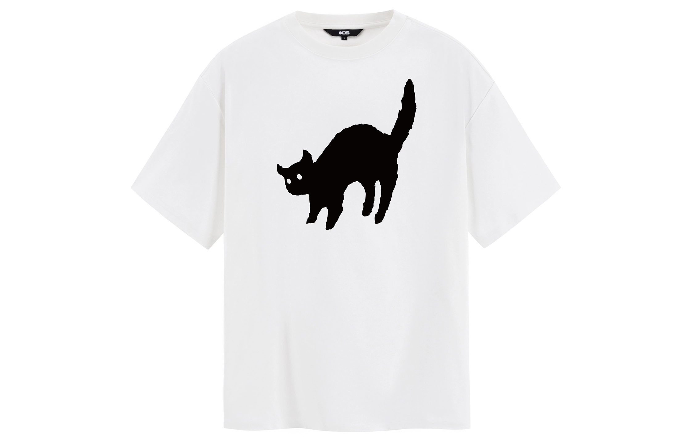 ICONS Lab T