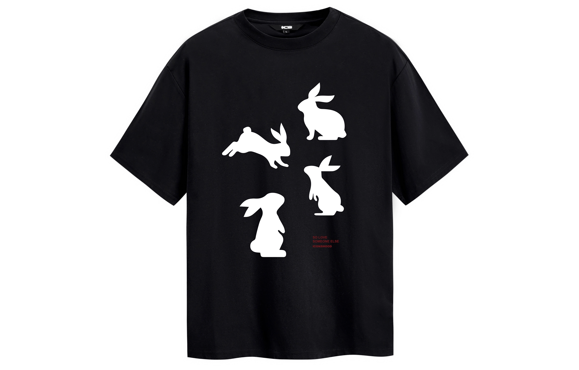 ICONS Lab T
