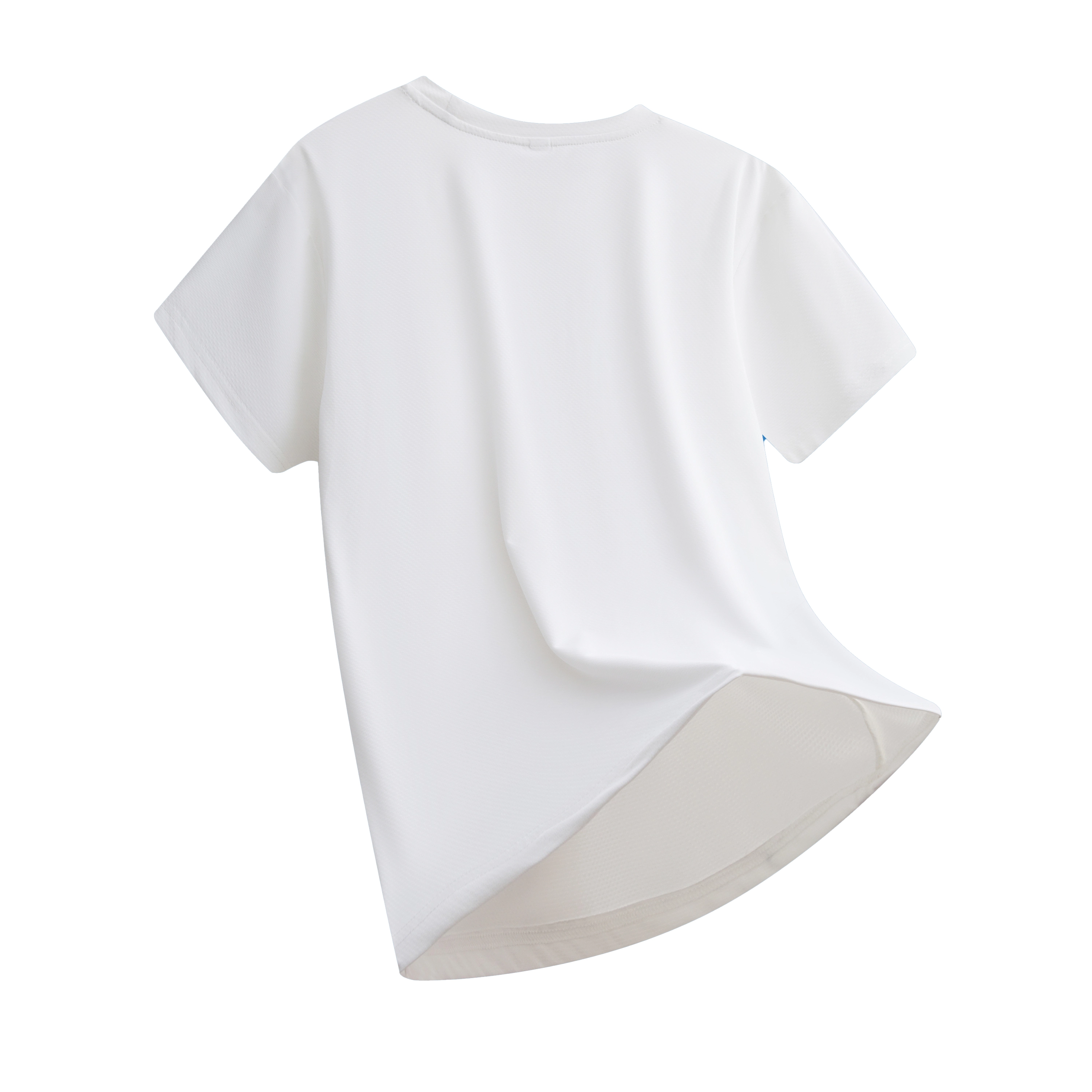 ONE PIECE t