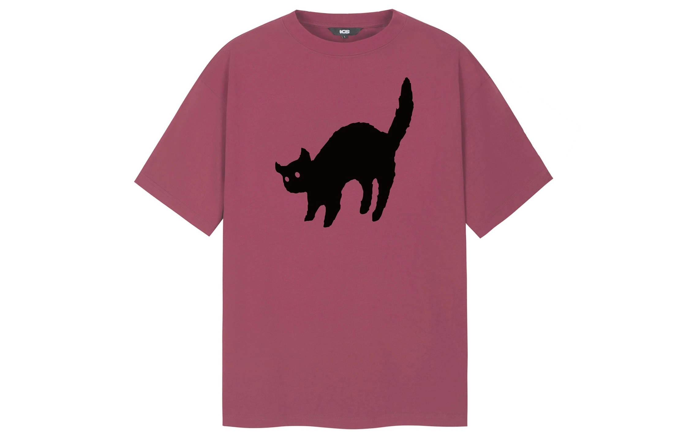 ICONS Lab T