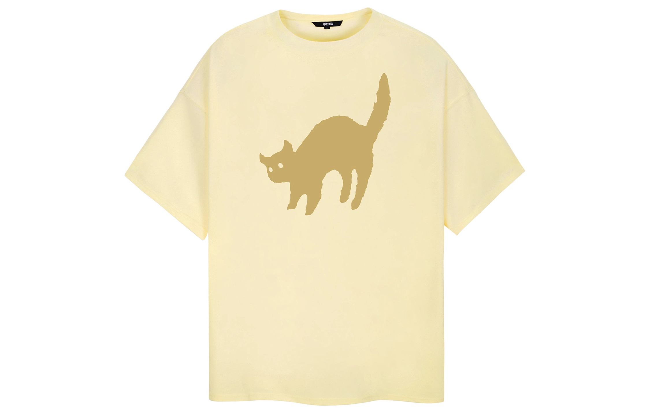 ICONS Lab T