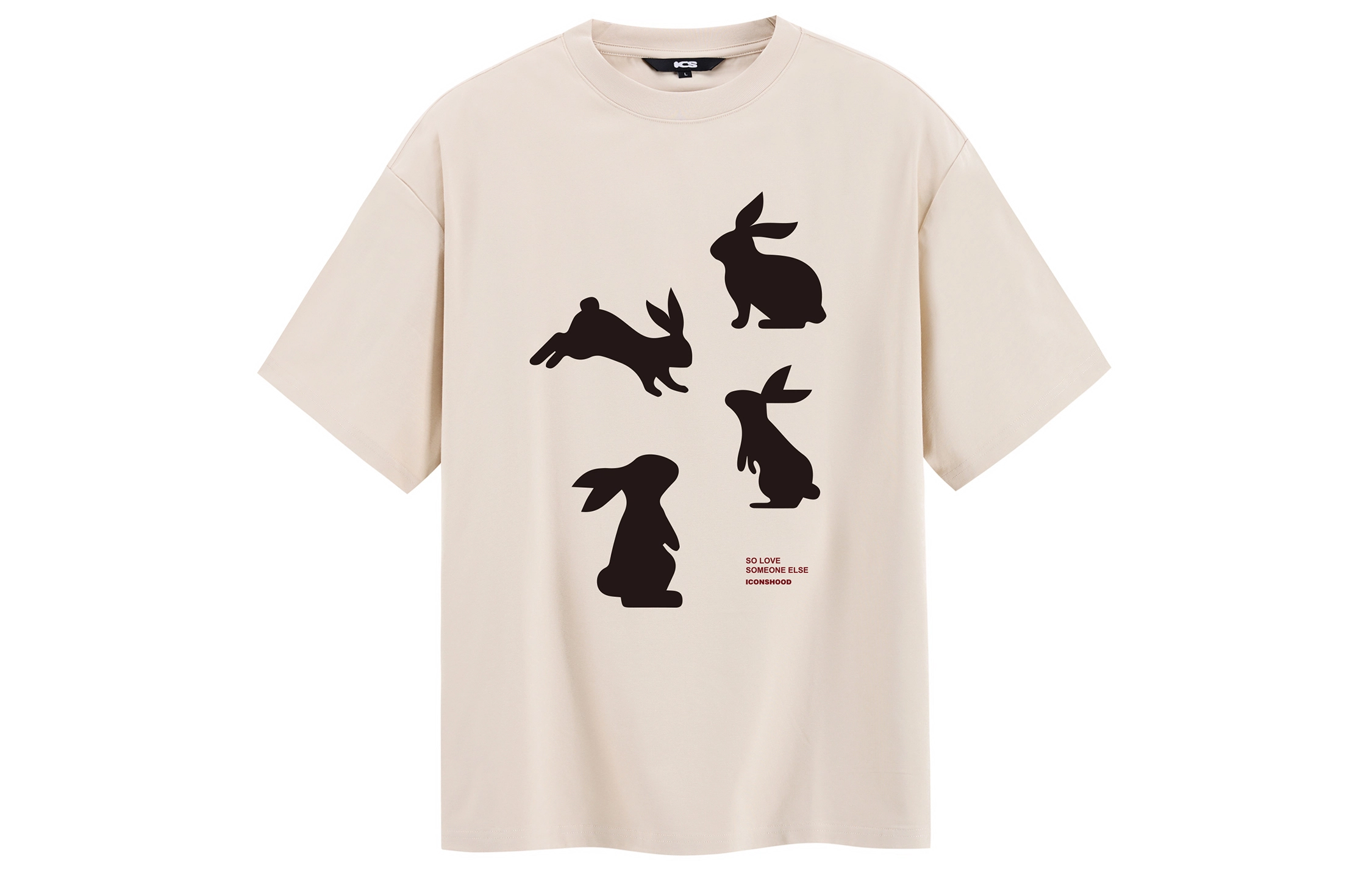 ICONS Lab T