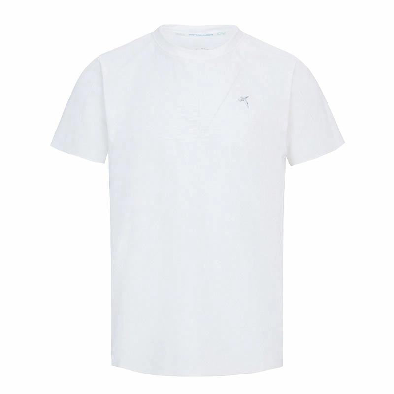 Tittallon T