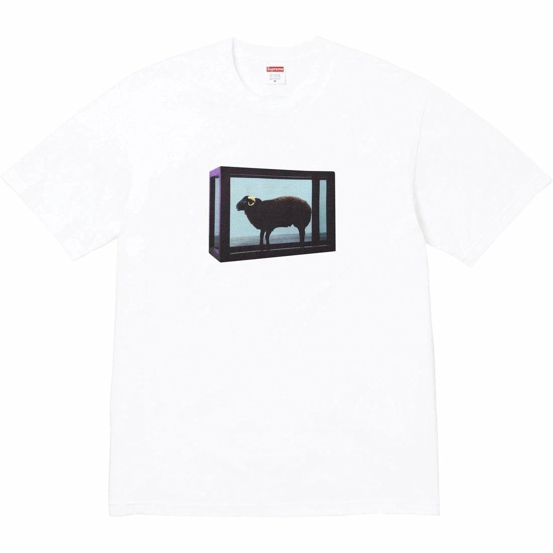 Supreme x Damien Hirst SS25 WEEK1 Tee T