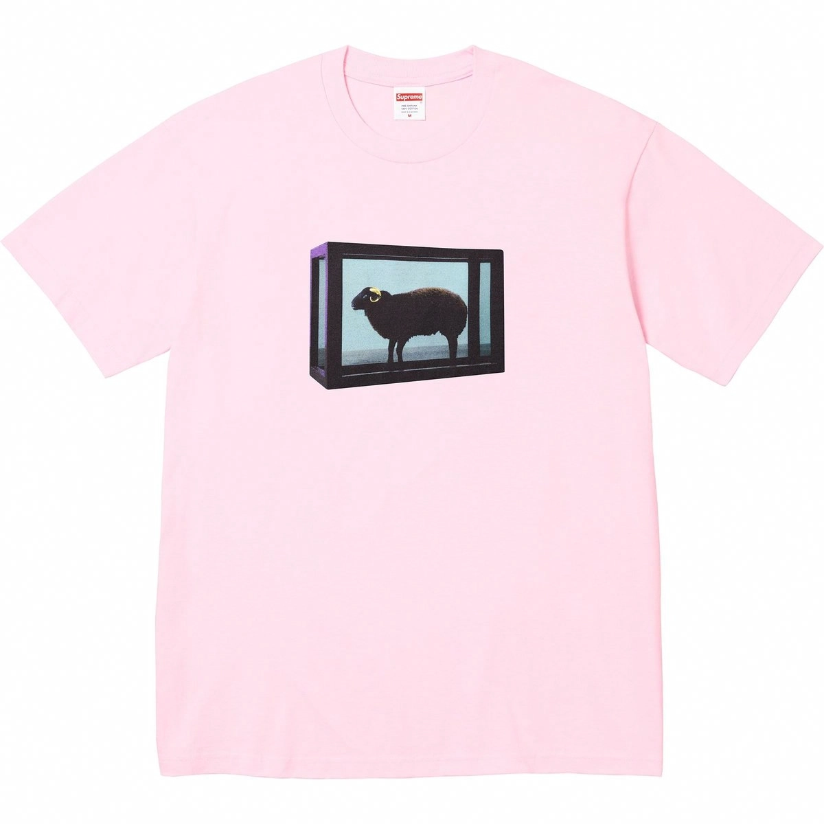 Supreme x Damien Hirst SS25 WEEK1 Tee T