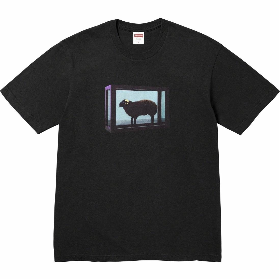 Supreme x Damien Hirst SS25 WEEK1 Tee T