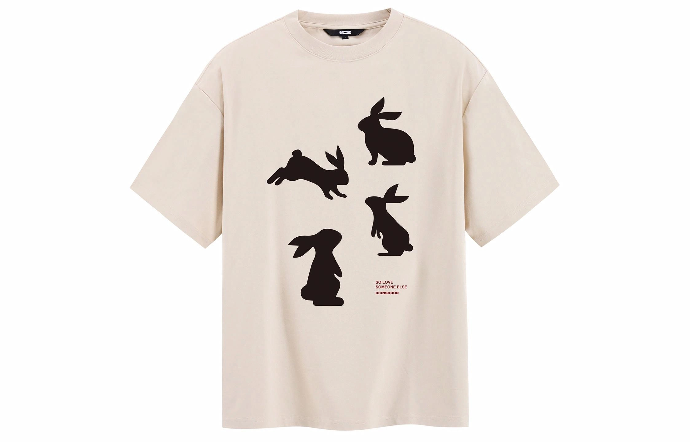 ICONS Lab T