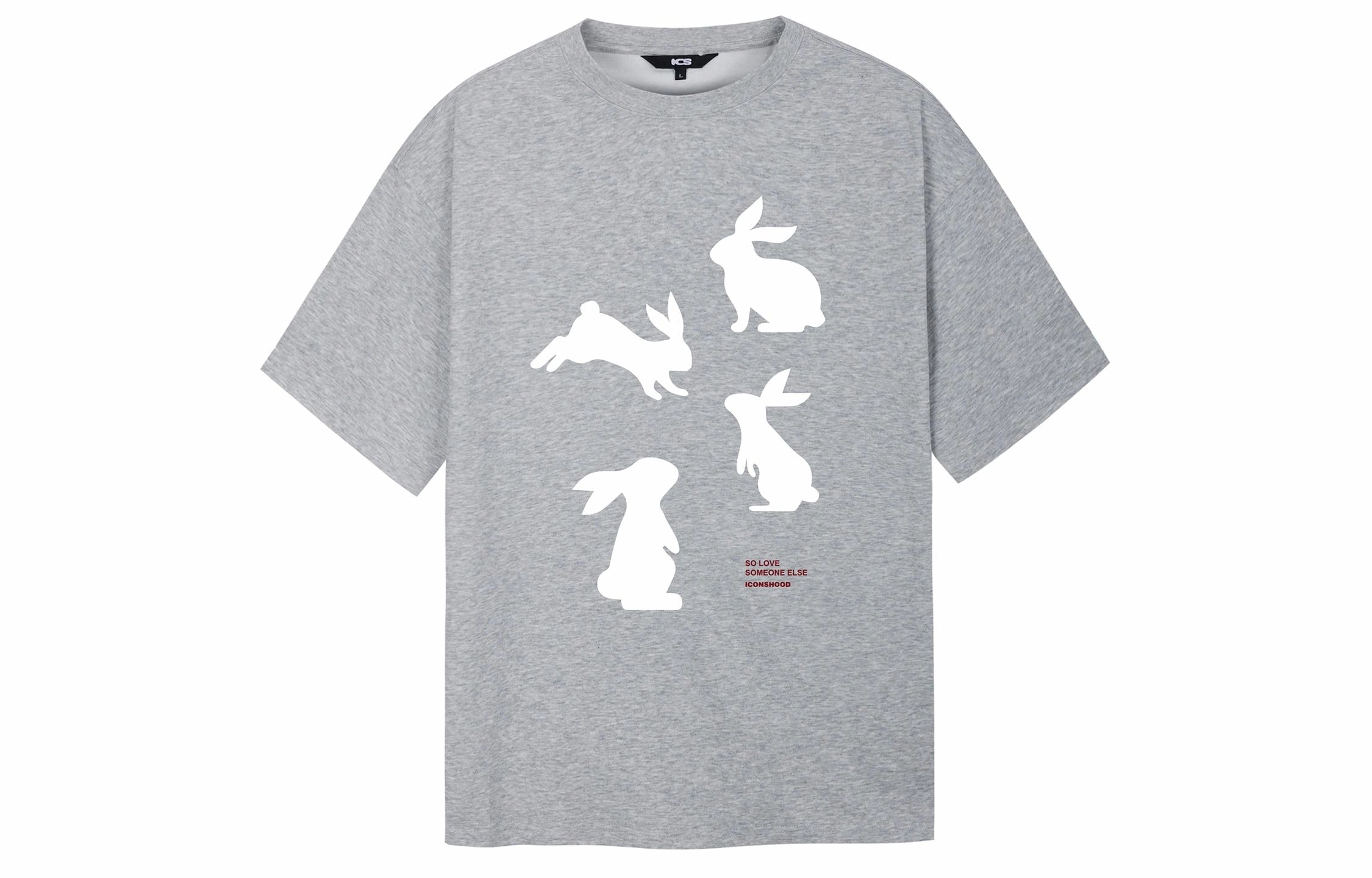 ICONS Lab T