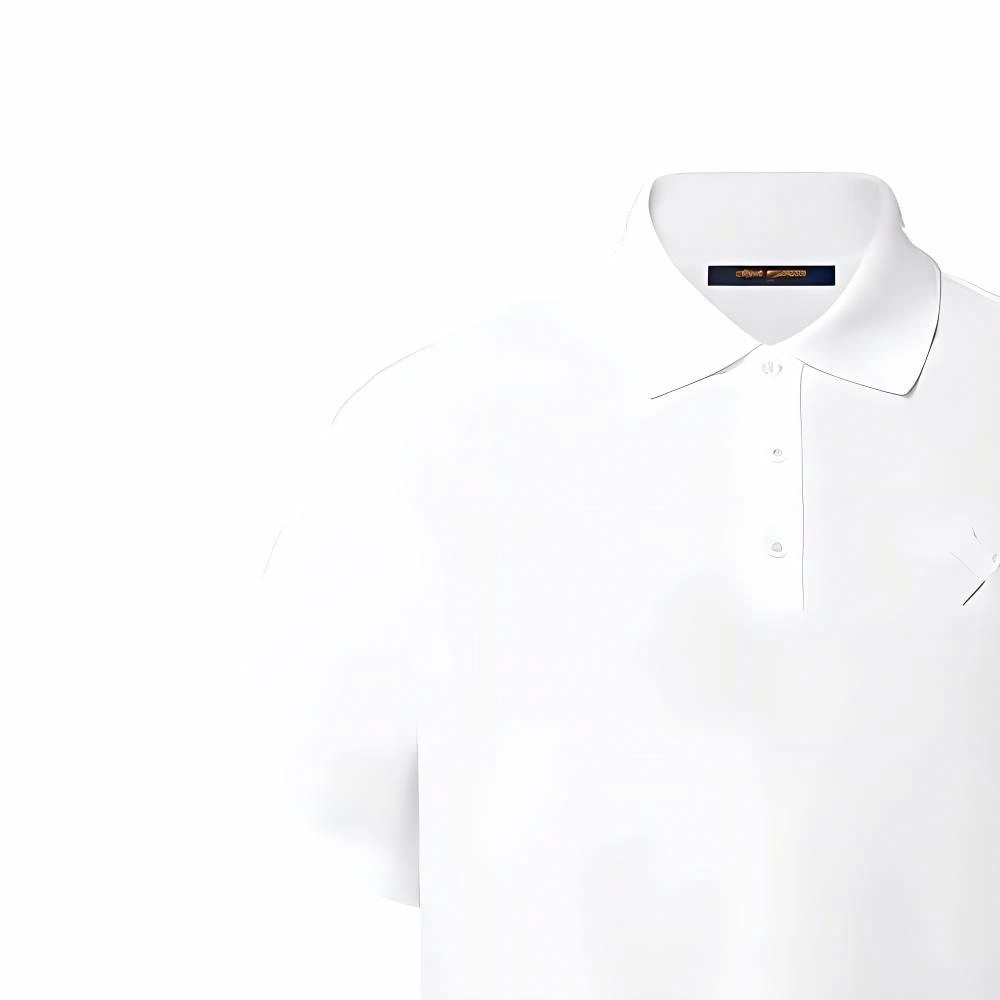 LOUIS VUITTON LV FW22 Polo