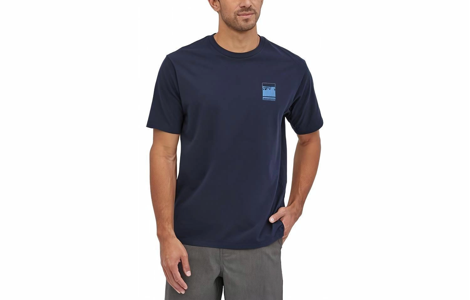 patagonia Alpine Icon LogoT