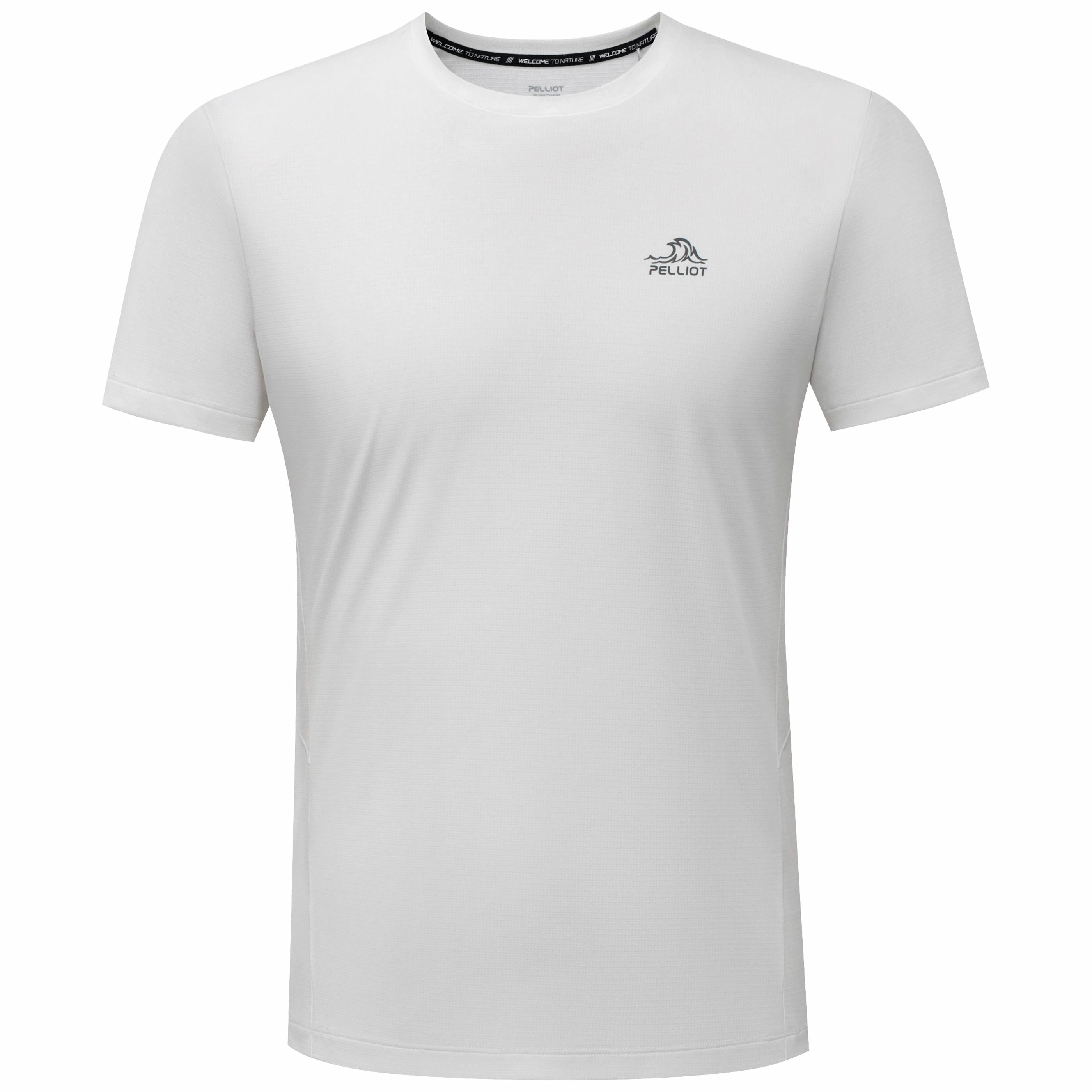 PELLIOT T